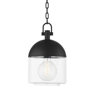 ZEPHYR 10 in. Outdoor Pendant Light Textured Black finish - Bees Lighting