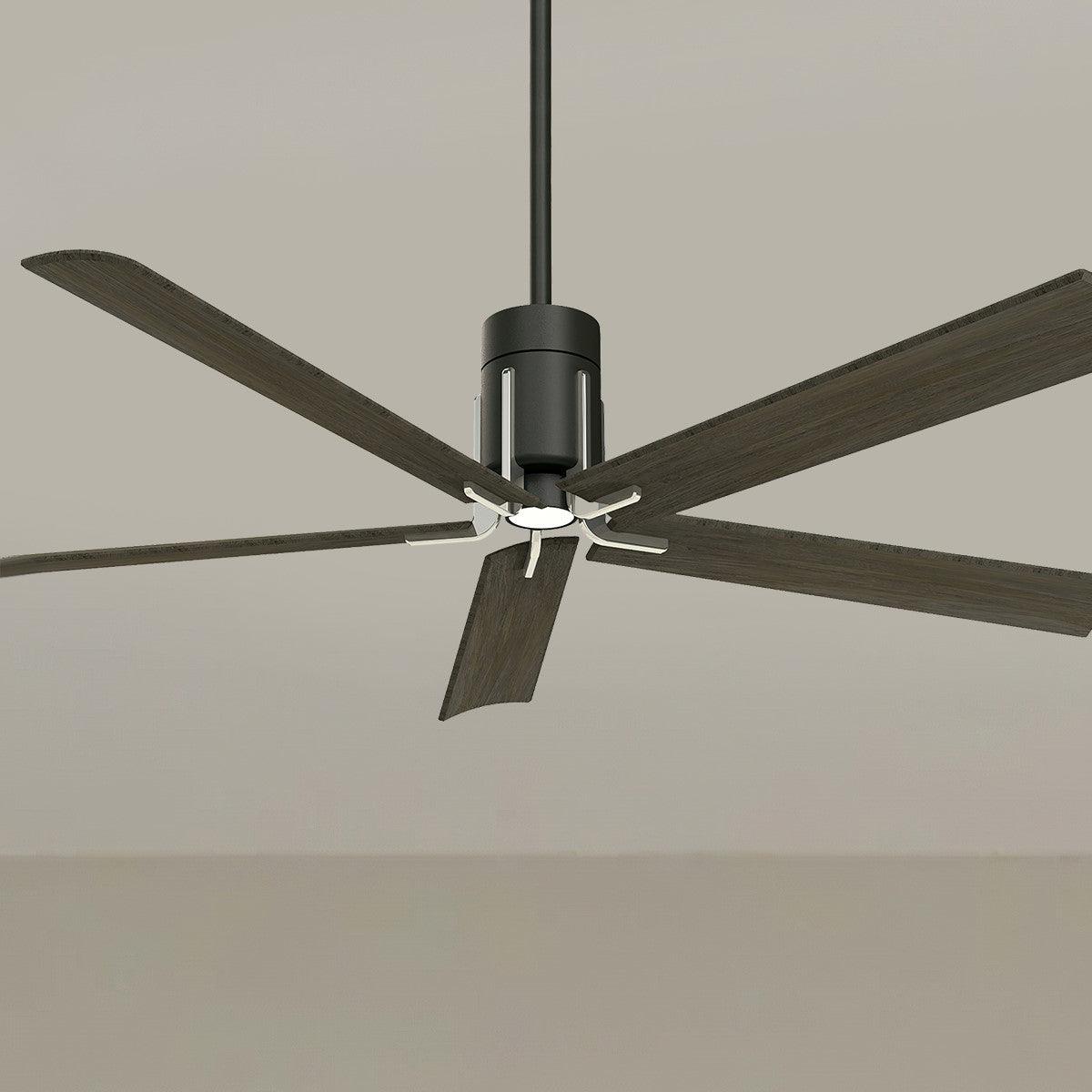 Clean 60" Ceiling Fan - Bees Lighting