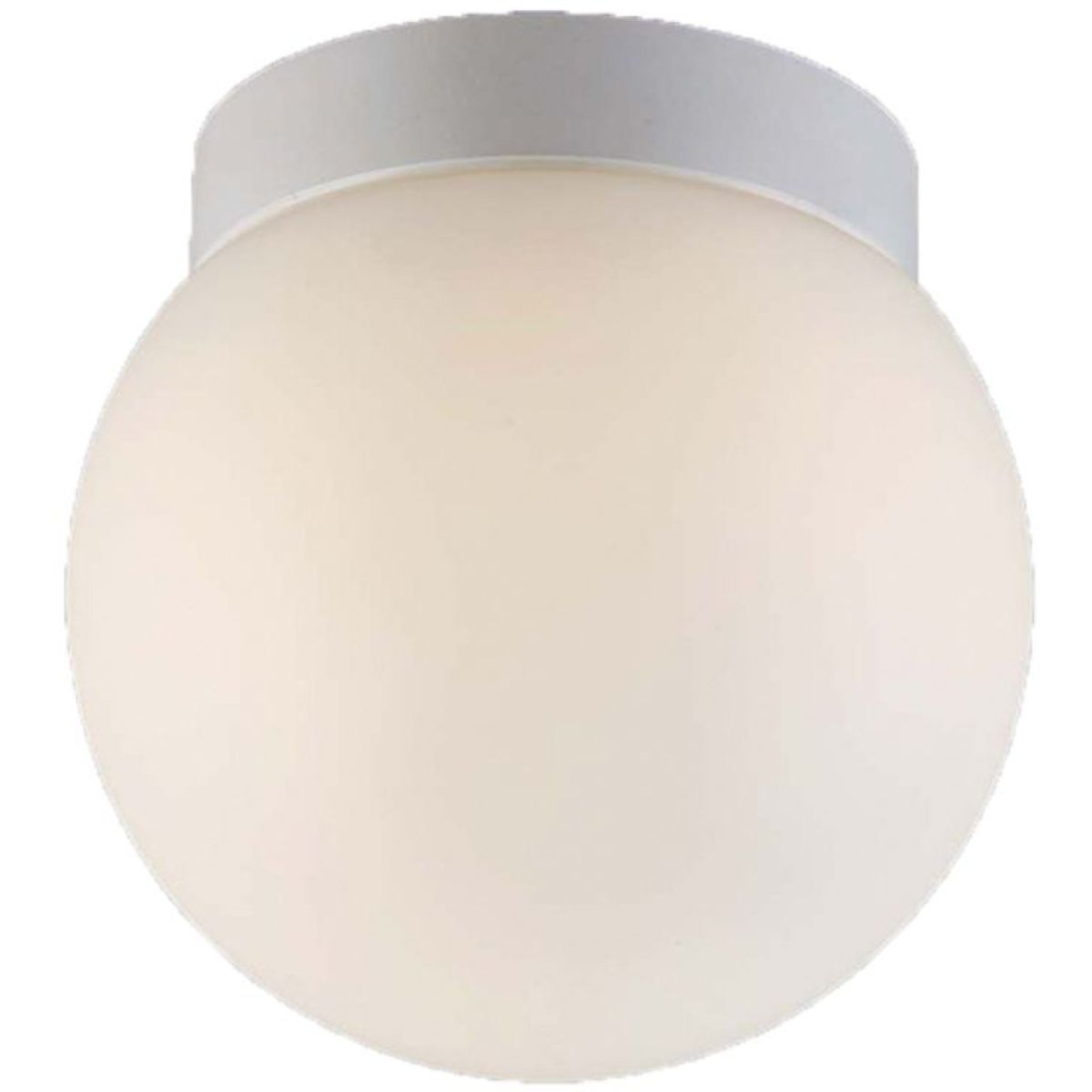 Flush Mount Ceiling Light