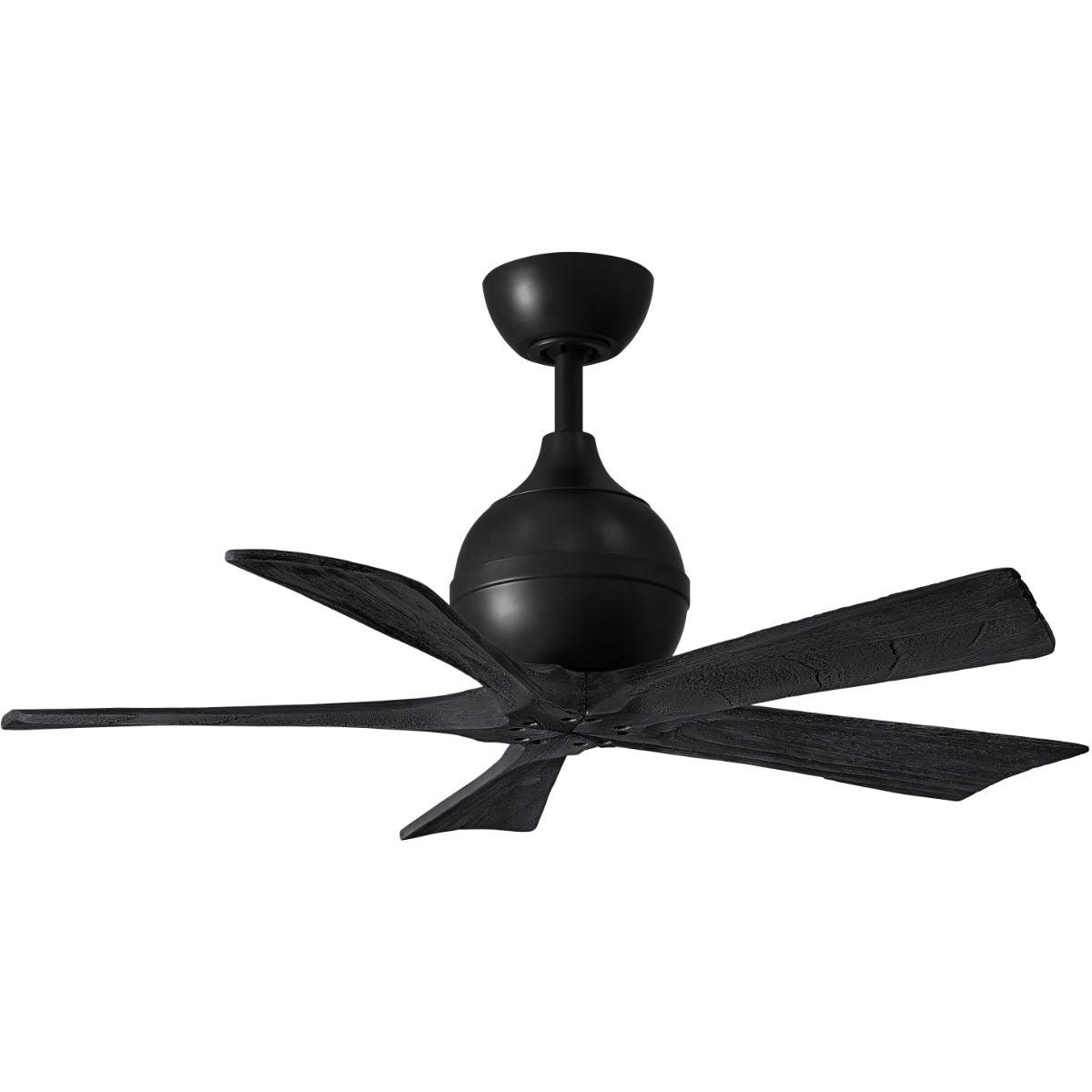 Irene 42 Inch 5 Blades Modern Outdoor Ceiling Fan With Remote And Wall Control - Bees Lighting