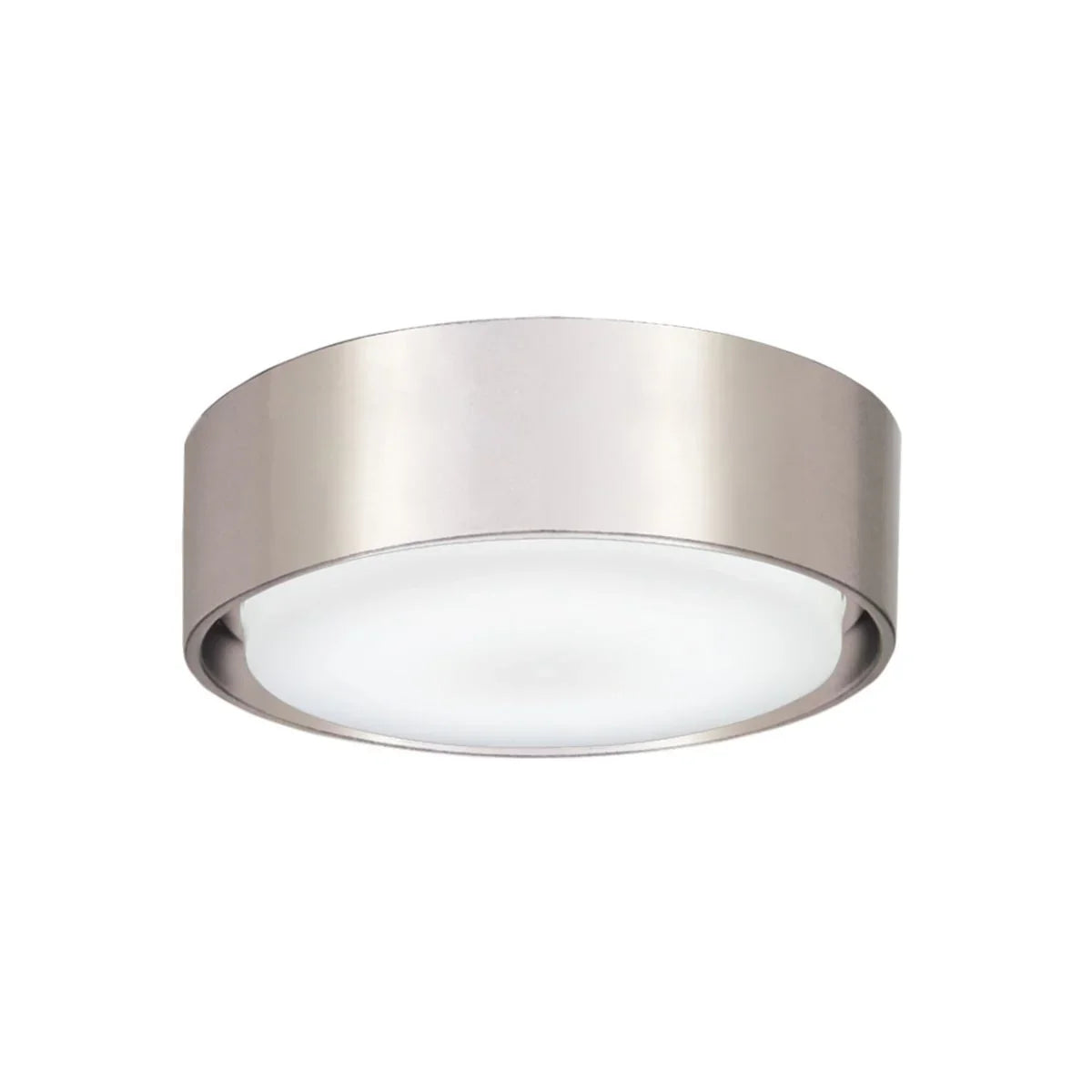 5 In. Simple Ceiling Fan Light Kit, Brushed Nickel Wet Finish - Bees Lighting