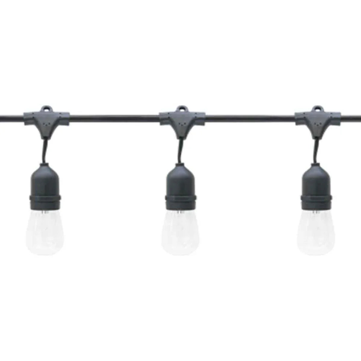 Commercial Grade Light String, Suspended 50 sockets, E26 Medium Base, 100 Feet - Bees Lighting