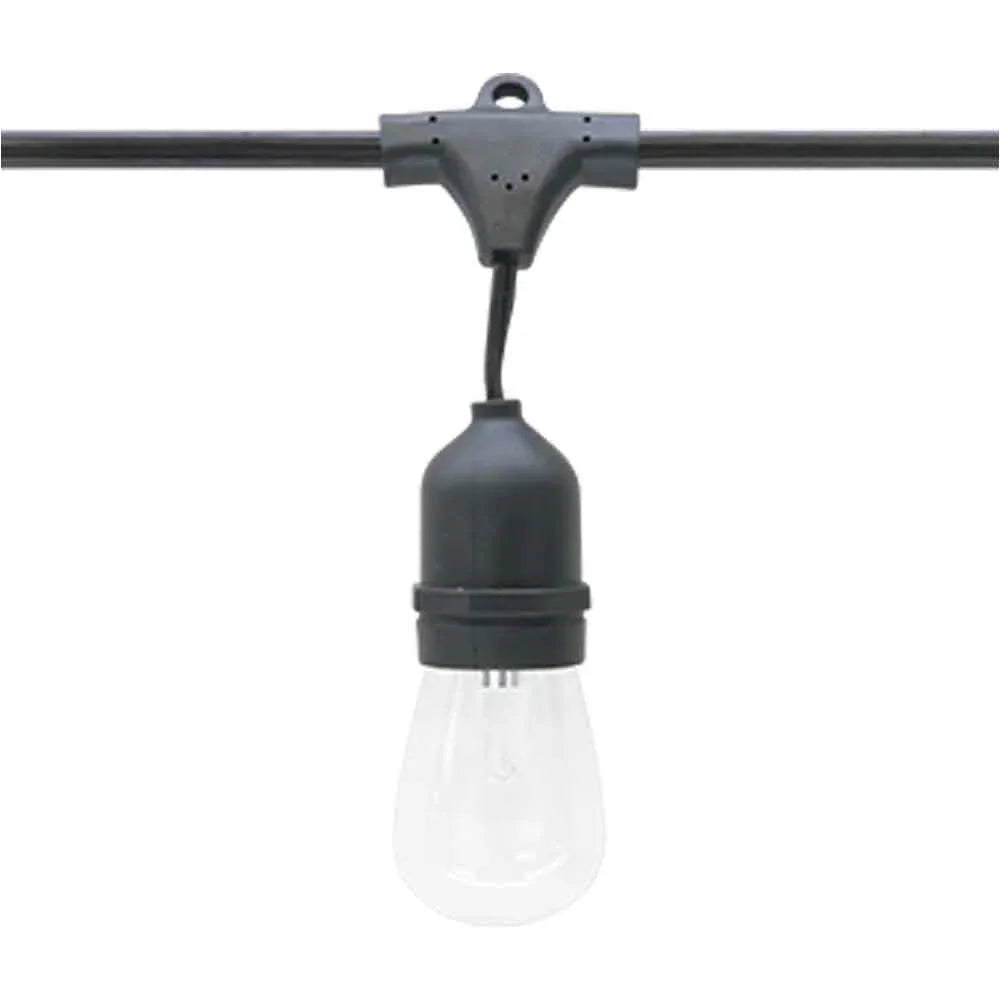 Commercial Grade Light String, Suspended 50 sockets, E26 Medium Base, 100 Feet - Bees Lighting