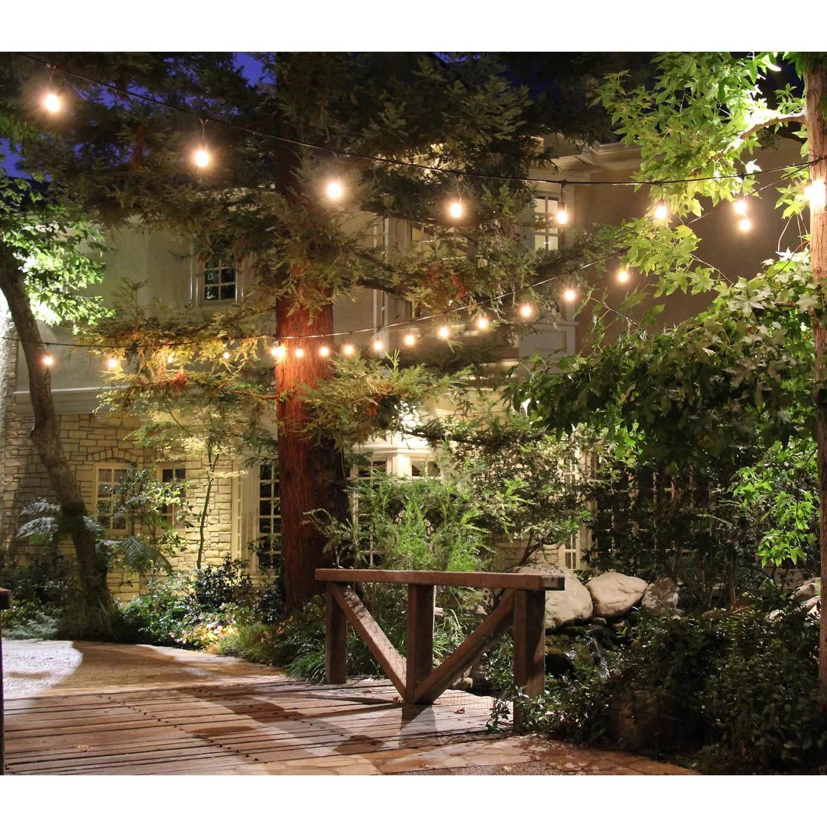Commercial Grade Light String, Suspended 50 sockets, E26 Medium Base, 100 Feet - Bees Lighting