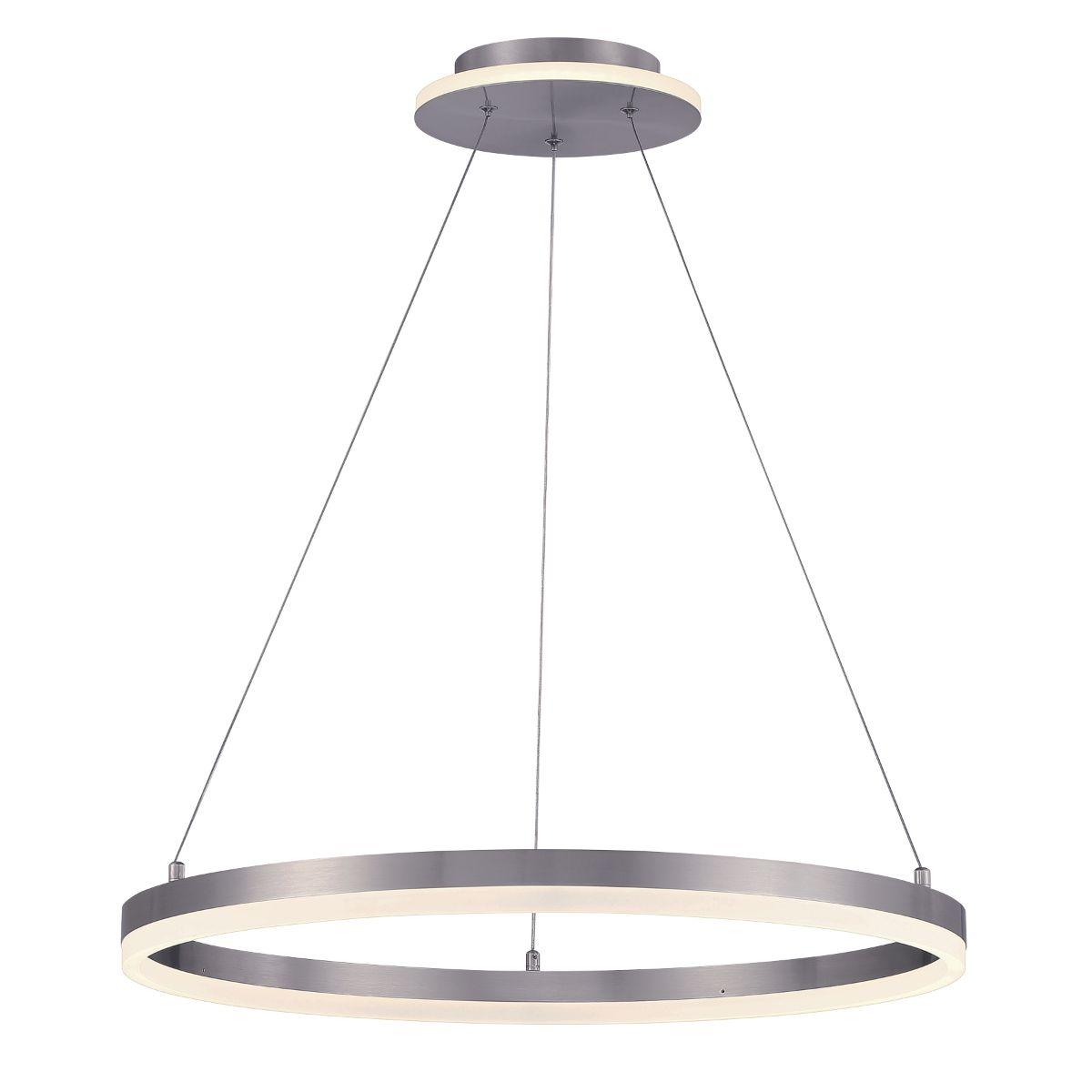Recovery 24 in. LED Pendant Light