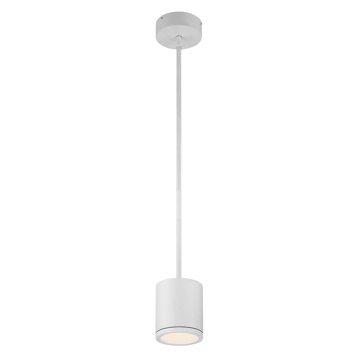 Tube Pendant Downlight Ceiling Mount