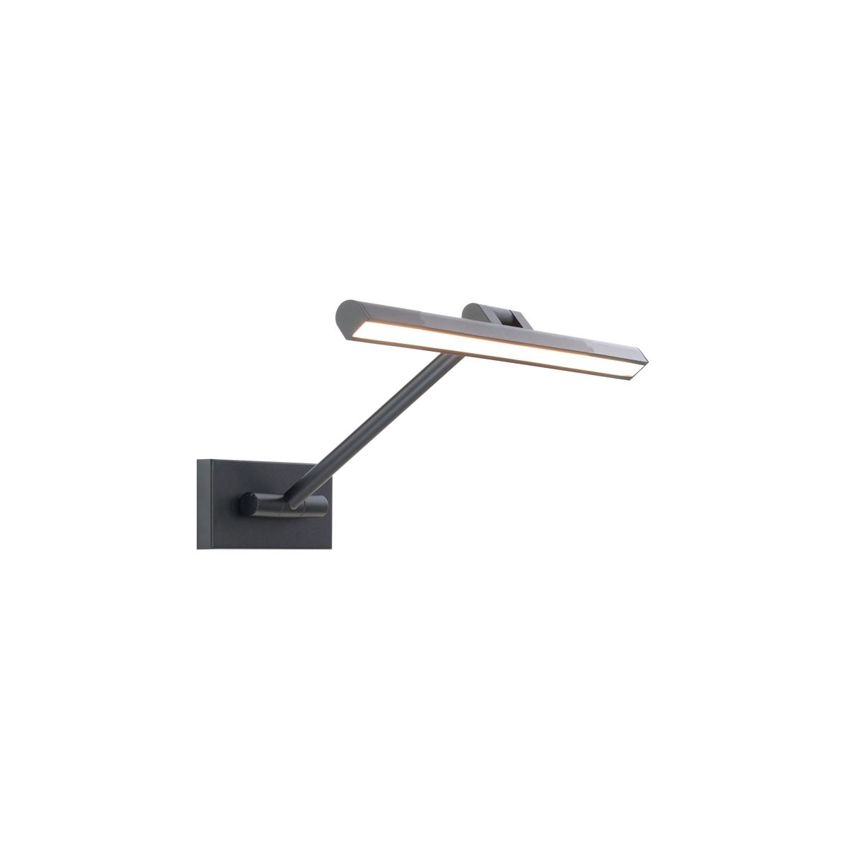 Reed 17 in. Rotating LED Picture Light 3000K Black Finish - Bees Lighting