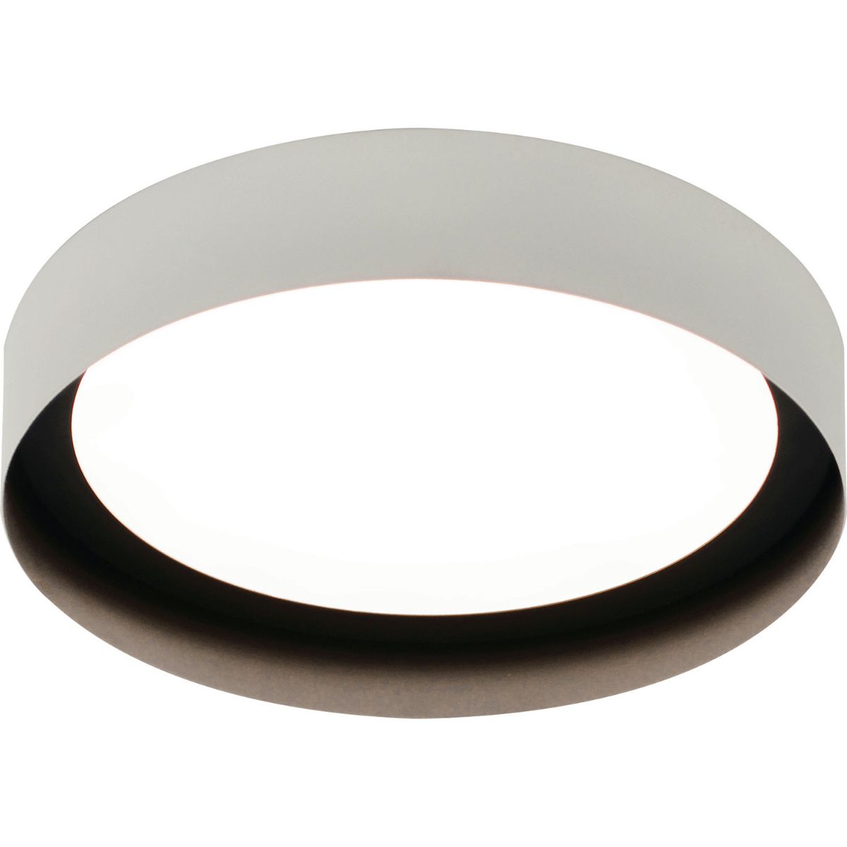 Reveal LED Flush Mount Light