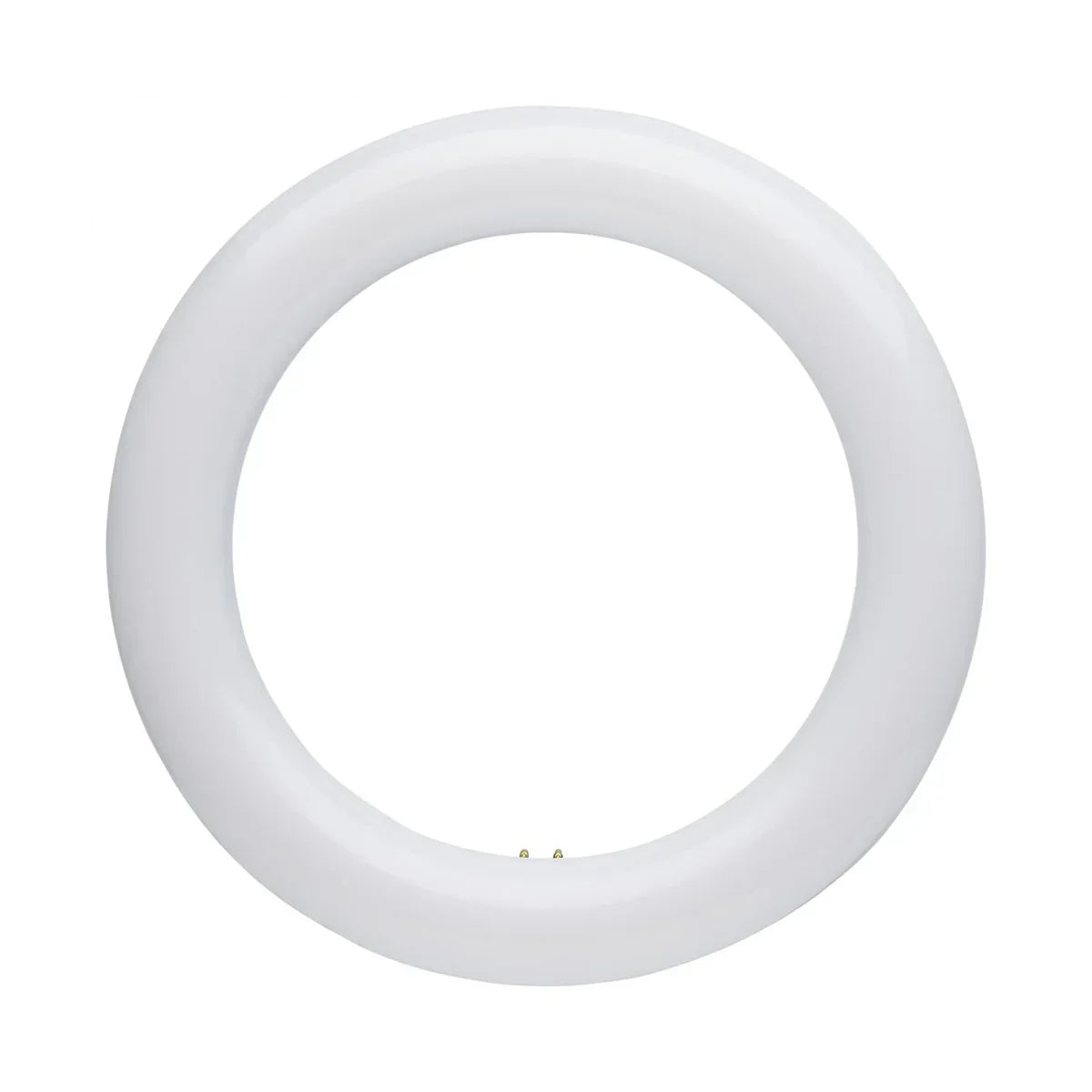 Satco LED Circline Lamps - G10Q Base, CCT Selectable - Bees Lighting