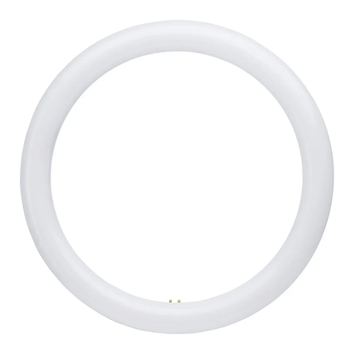 Satco LED Circline Lamps - G10Q Base, CCT Selectable - Bees Lighting