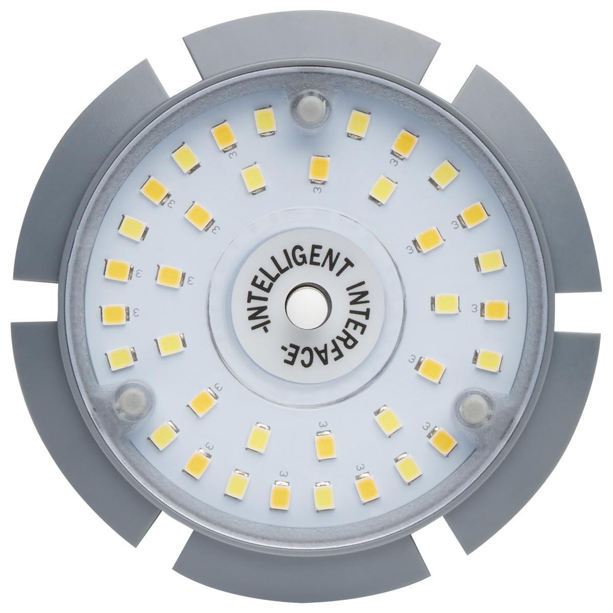 Retrofit LED Corn Bulb Omnidirectional, 45 Watts, 6300lm, Selectable CCT, EX39 Mogul, 480V - Bees Lighting
