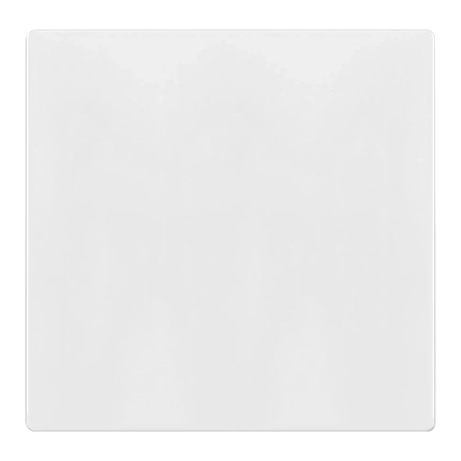 2-Gang Screwless Blank Wall Plate, White - Bees Lighting