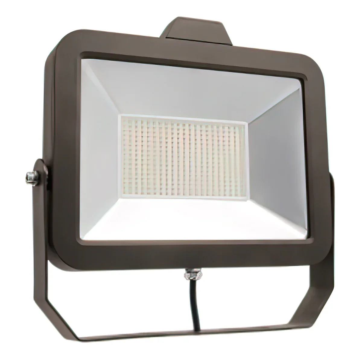 LED Flood Light, 12300 Lumens, 100W, 5000K, Trunnion Mount, 120-277V - Bees Lighting