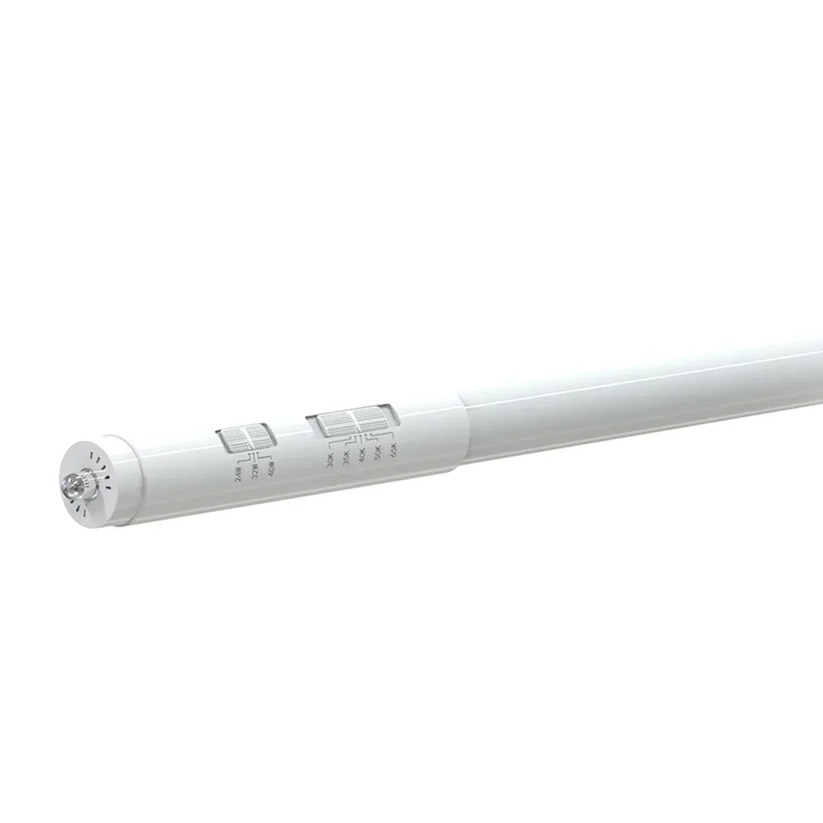 RAB 8ft LED T8 Tube, Interchangeable Bases R17d Or FA8 - Bees Lighting