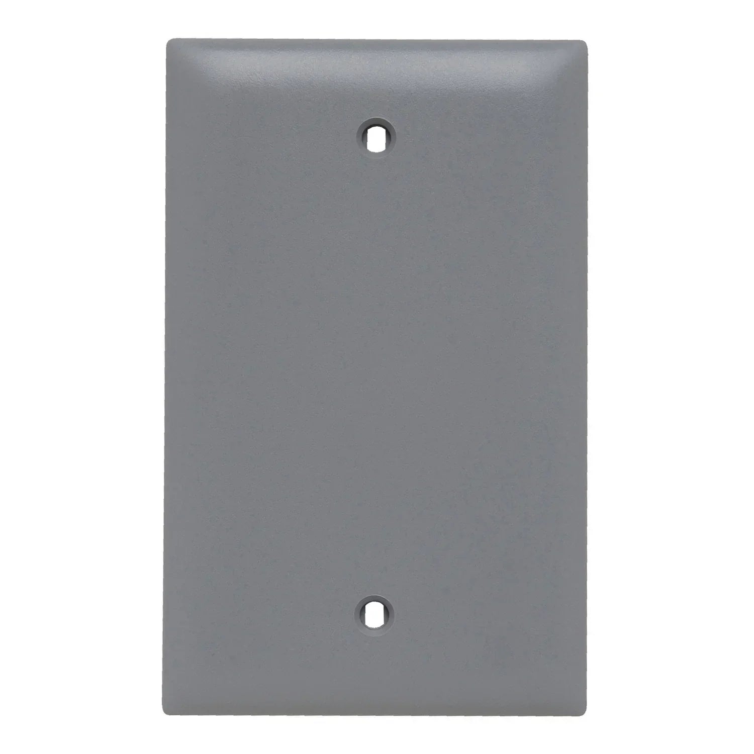 TradeMaster Blank Wall Plate - Bees Lighting