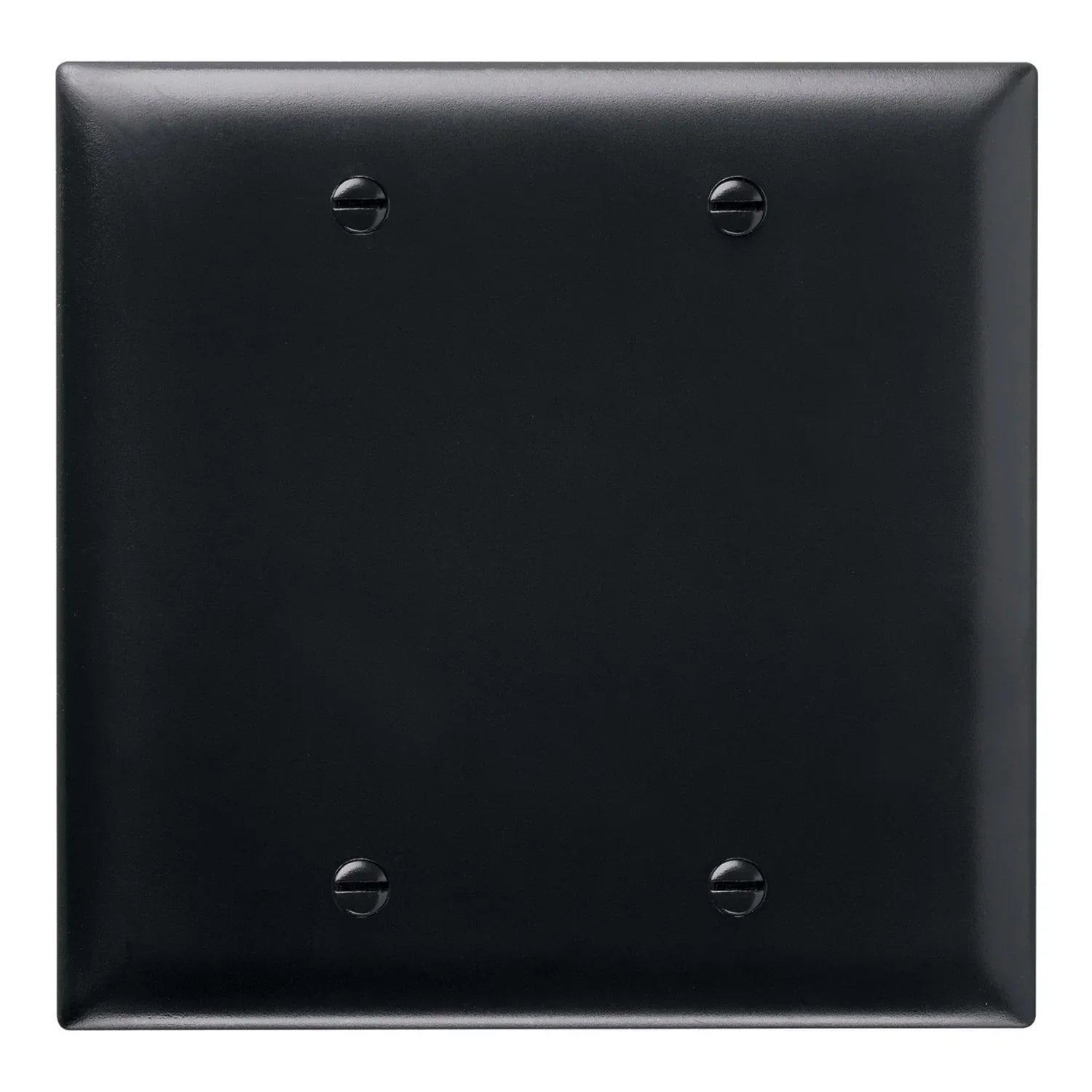 TradeMaster Blank Wall Plate - Bees Lighting