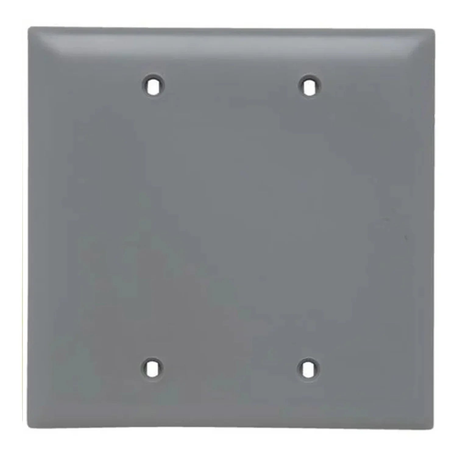 TradeMaster Blank Wall Plate - Bees Lighting