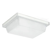 RAB VAN1LED Vandal-Proof Canopy Light - Bees Lighting