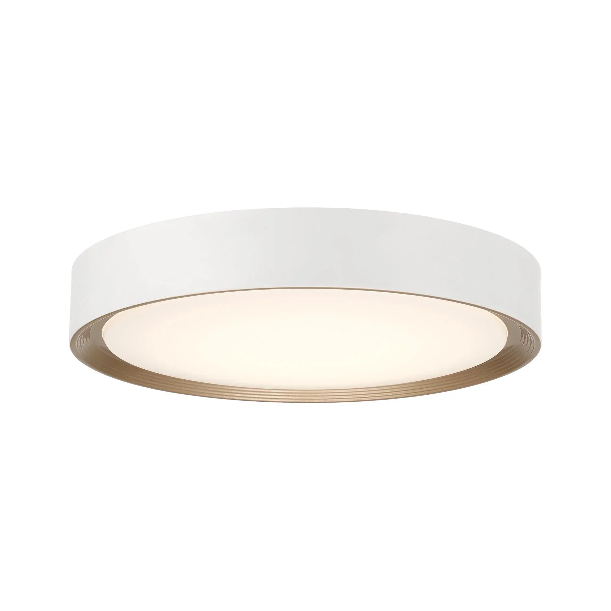 Malaga Color Selectable 20" LED Flush Mount, Matte White Finish