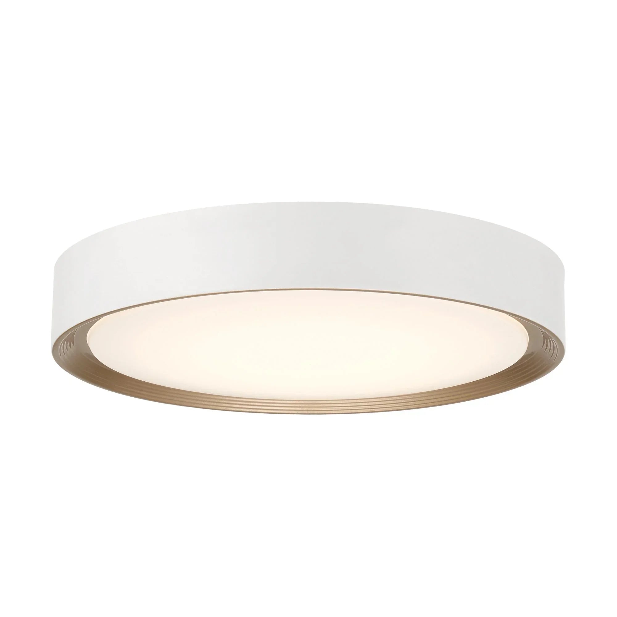 Malaga Color Selectable 24" LED Flush Mount, Matte White Finish