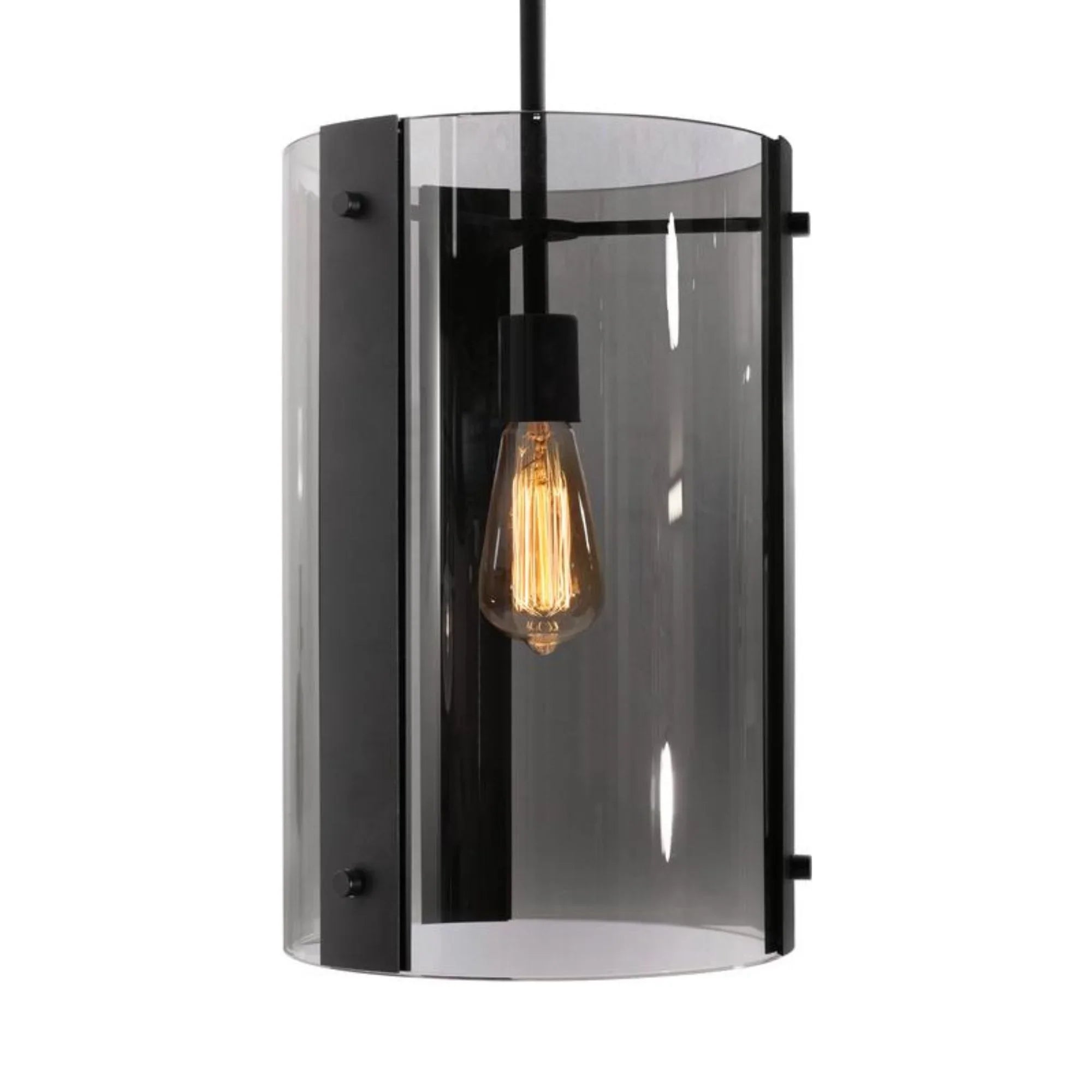 Dana 10'' Pendant Light, Black Finish - Bees Lighting