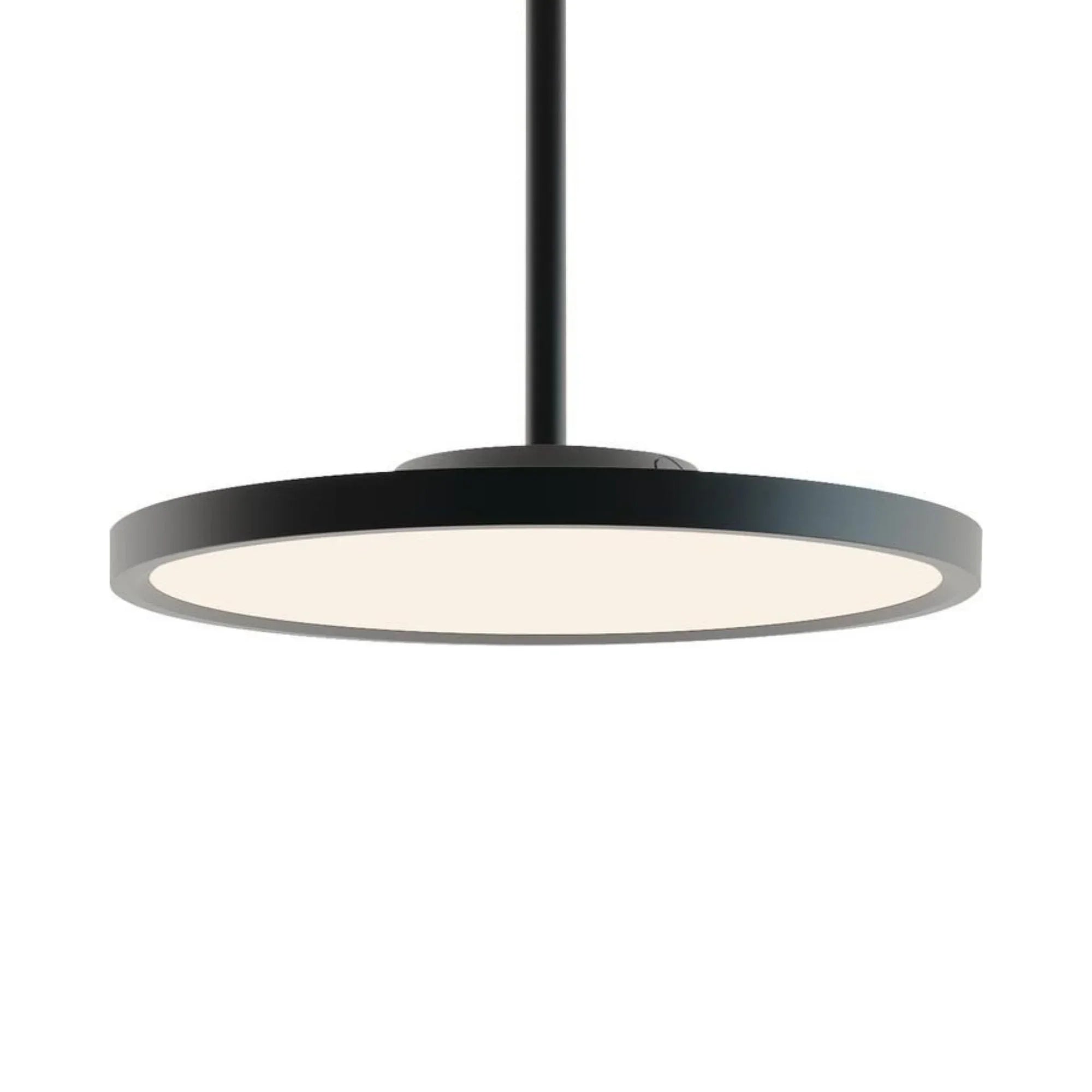 EGRP LED Pendant Light - Bees Lighting
