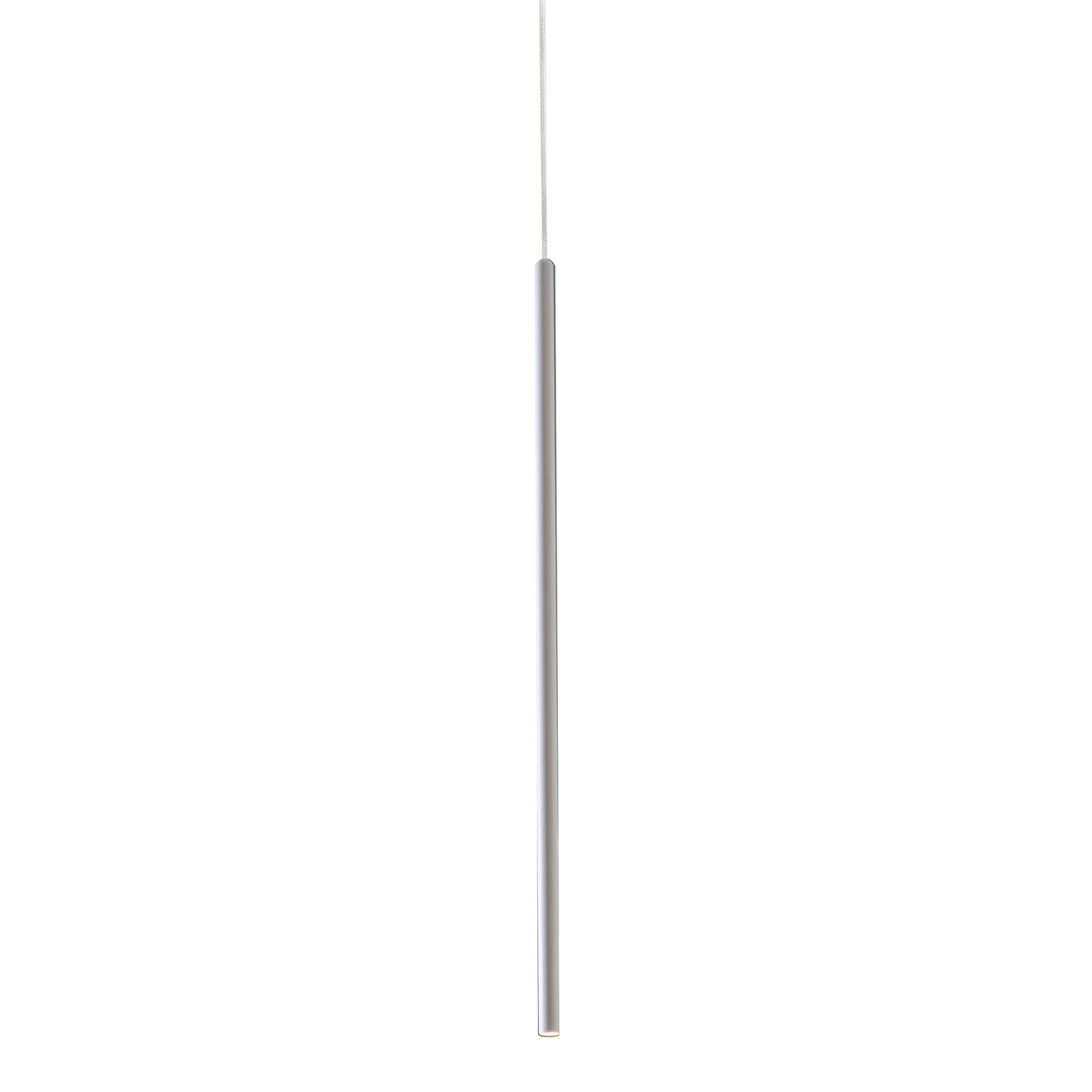 Point LED Pendant Light - Bees Lighting