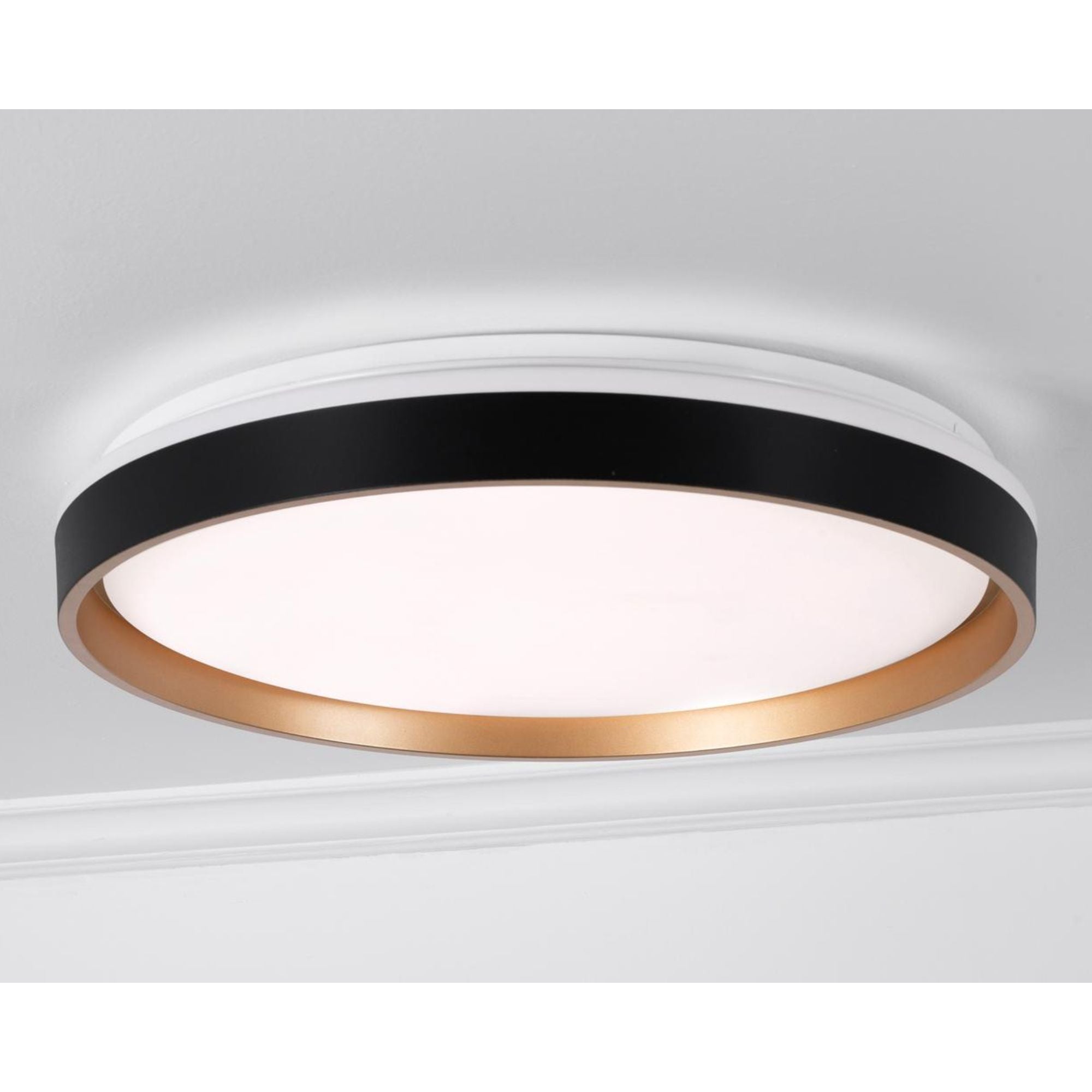 Rana 19'' LED Flush Mount Light, Black Finish - Bees Lighting
