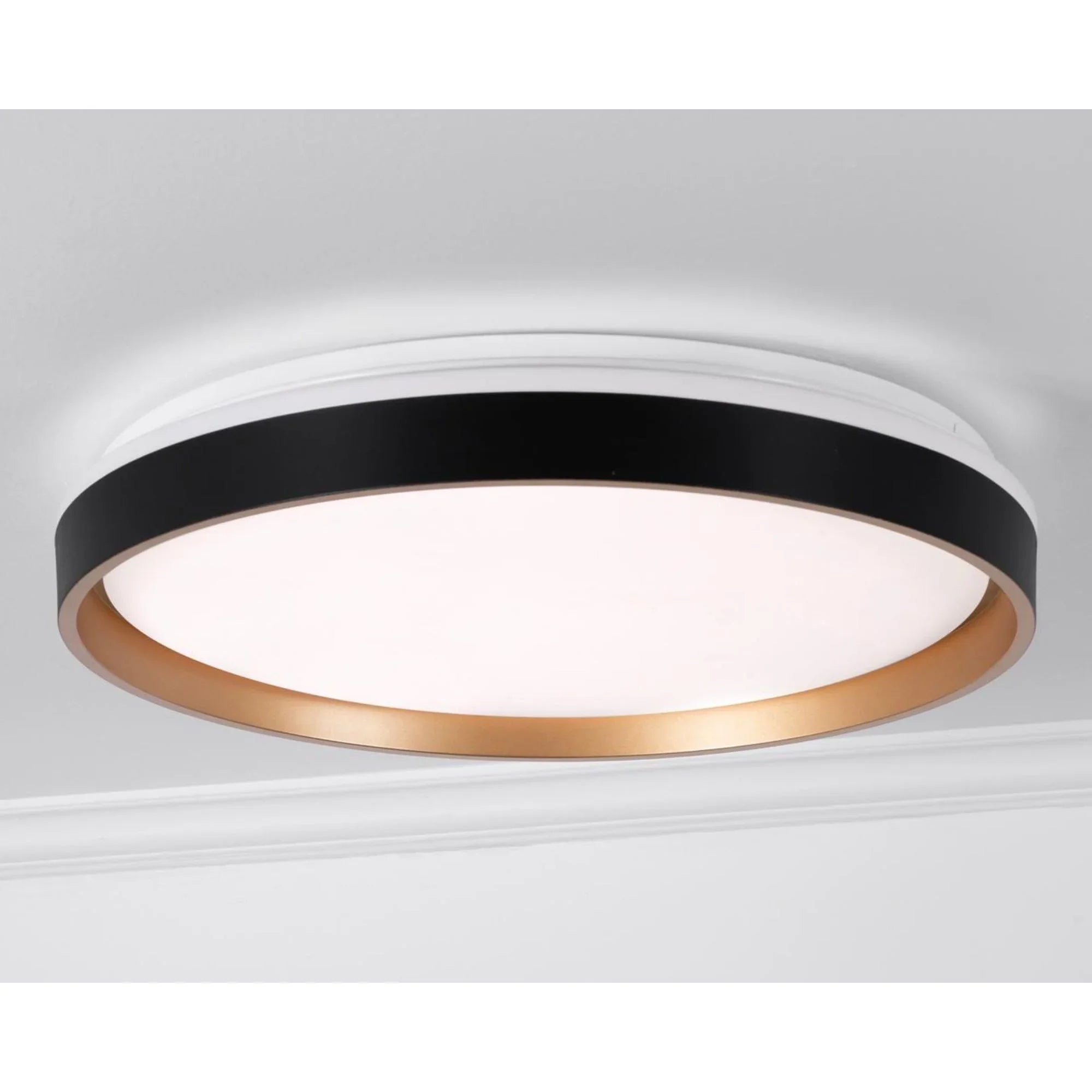 Rana 19'' LED Flush Mount Light, Black Finish - Bees Lighting