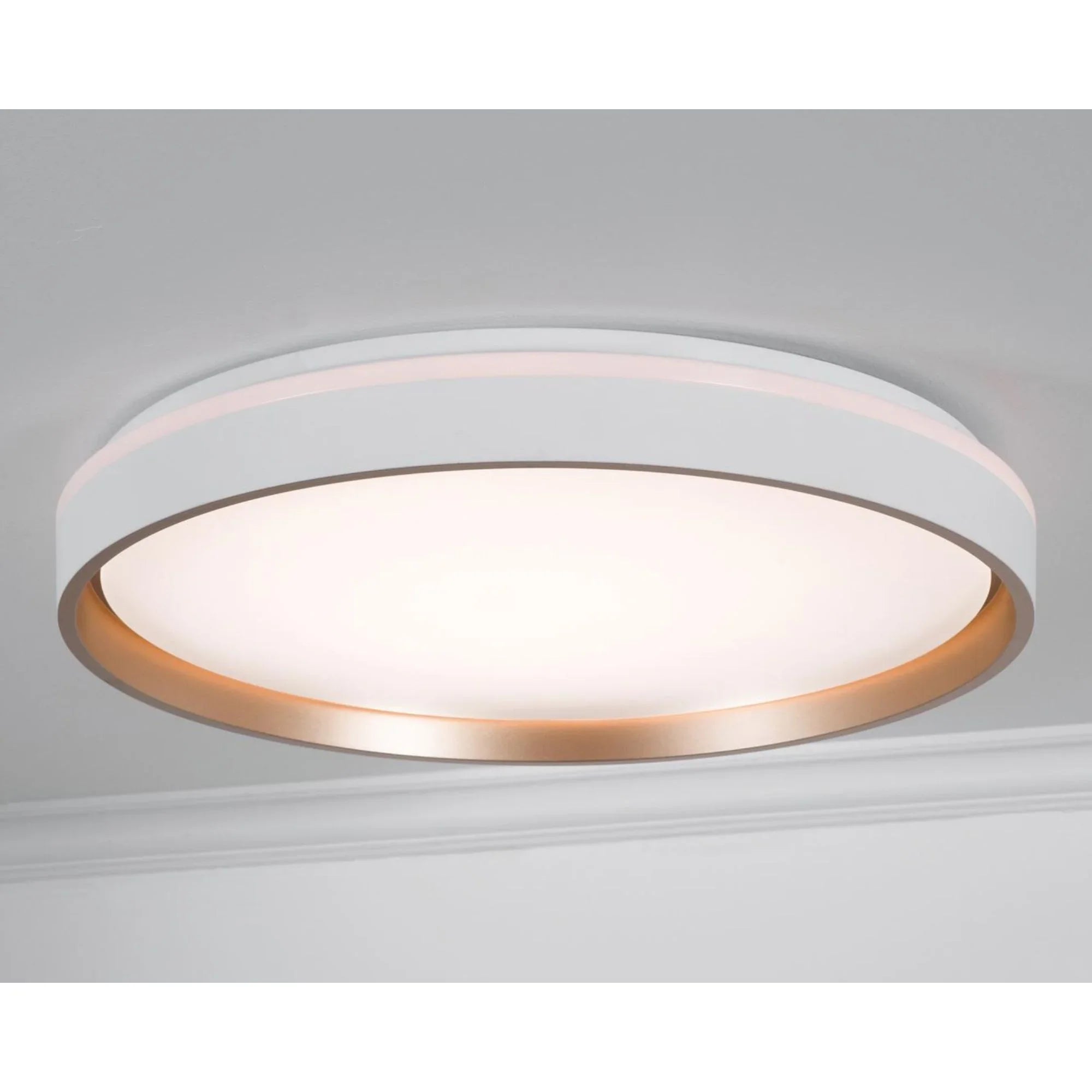 Rana 19'' LED Flush Mount Light, White Finish - Bees Lighting