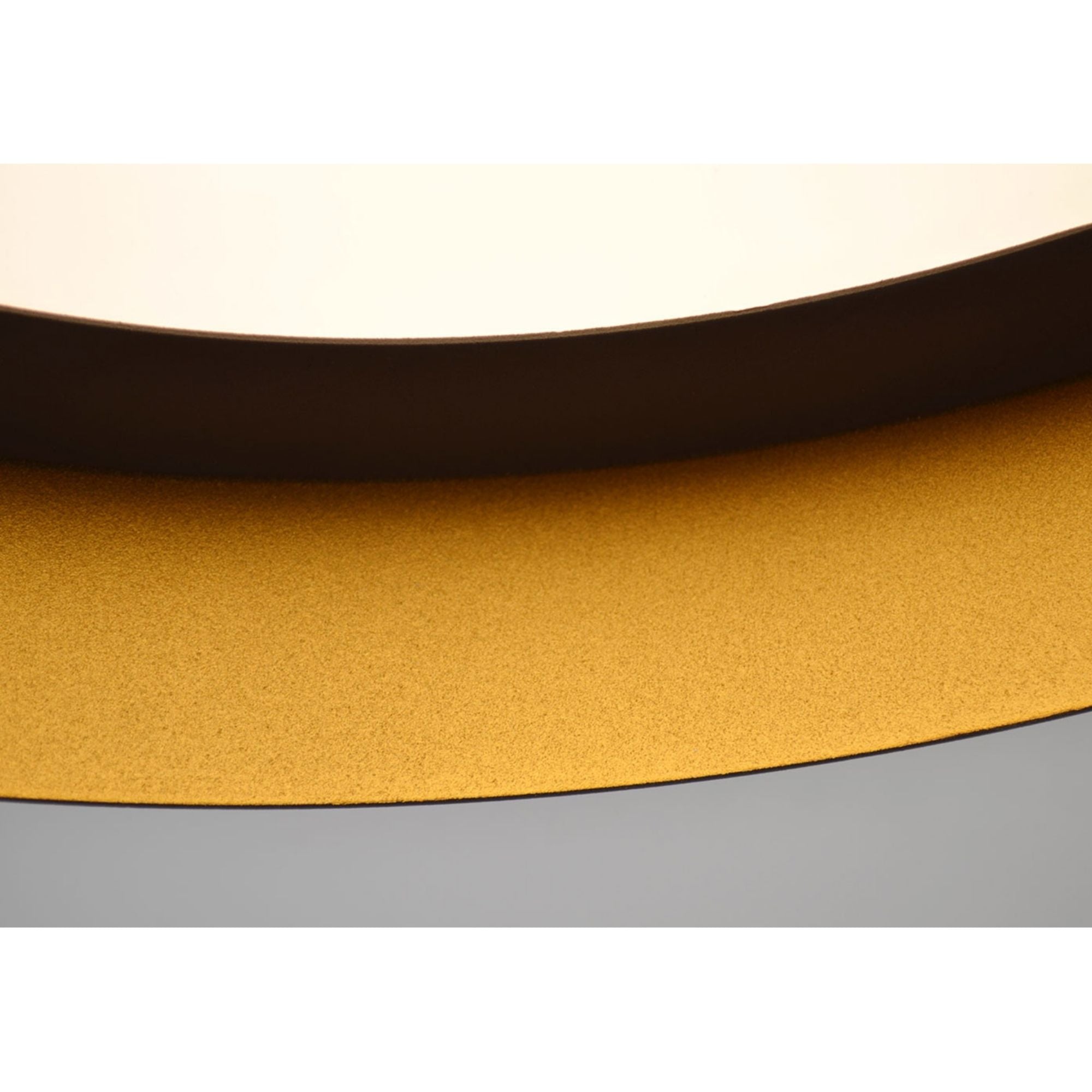 Reveal 12 in. LED Flush Mount Light 120V Black & Gold Finish - Bees Lighting