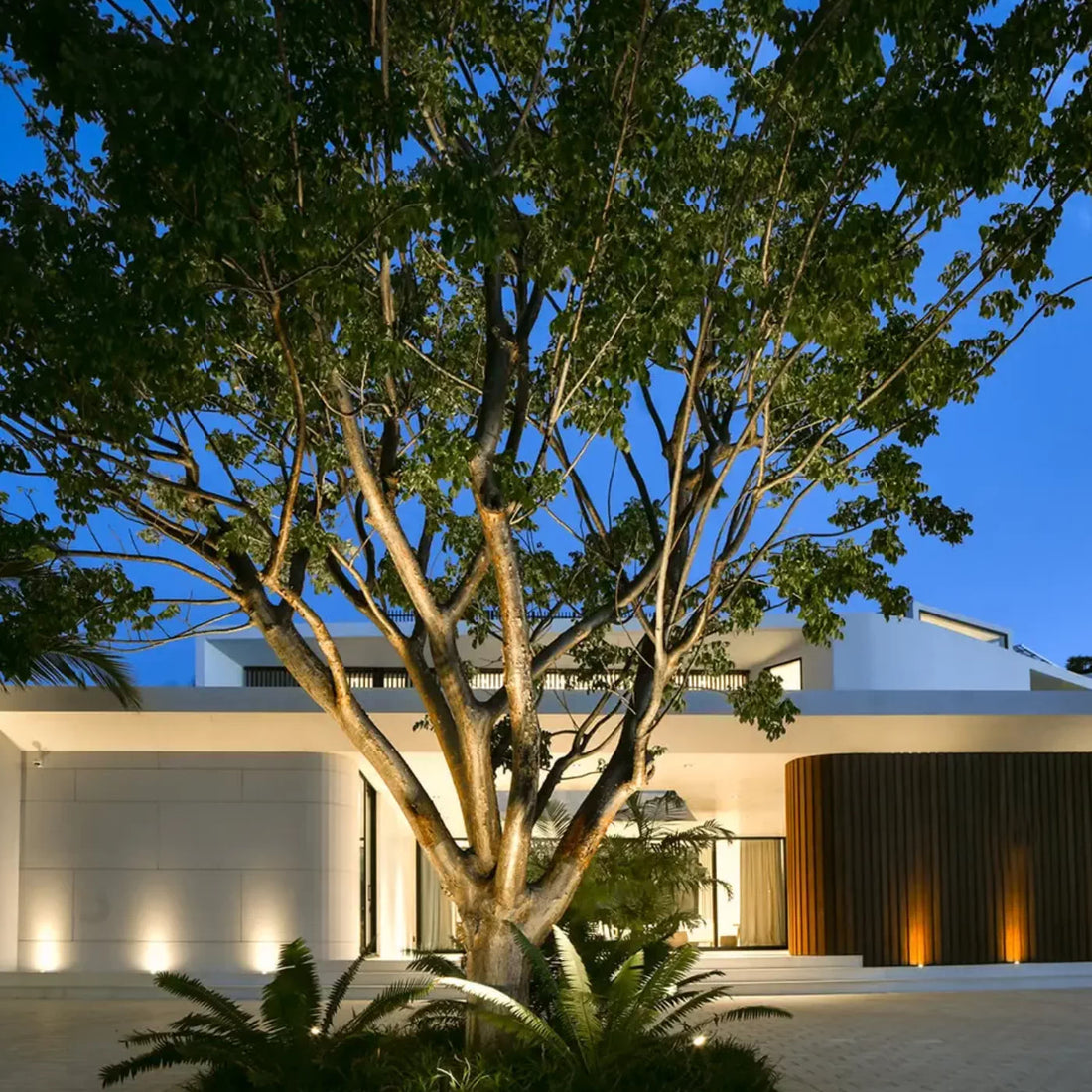 An Introduction to Landscape Lighting Design