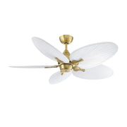 Islander DC 52" Ceiling Fan Motor, Blades Sold Separately - Bees Lighting