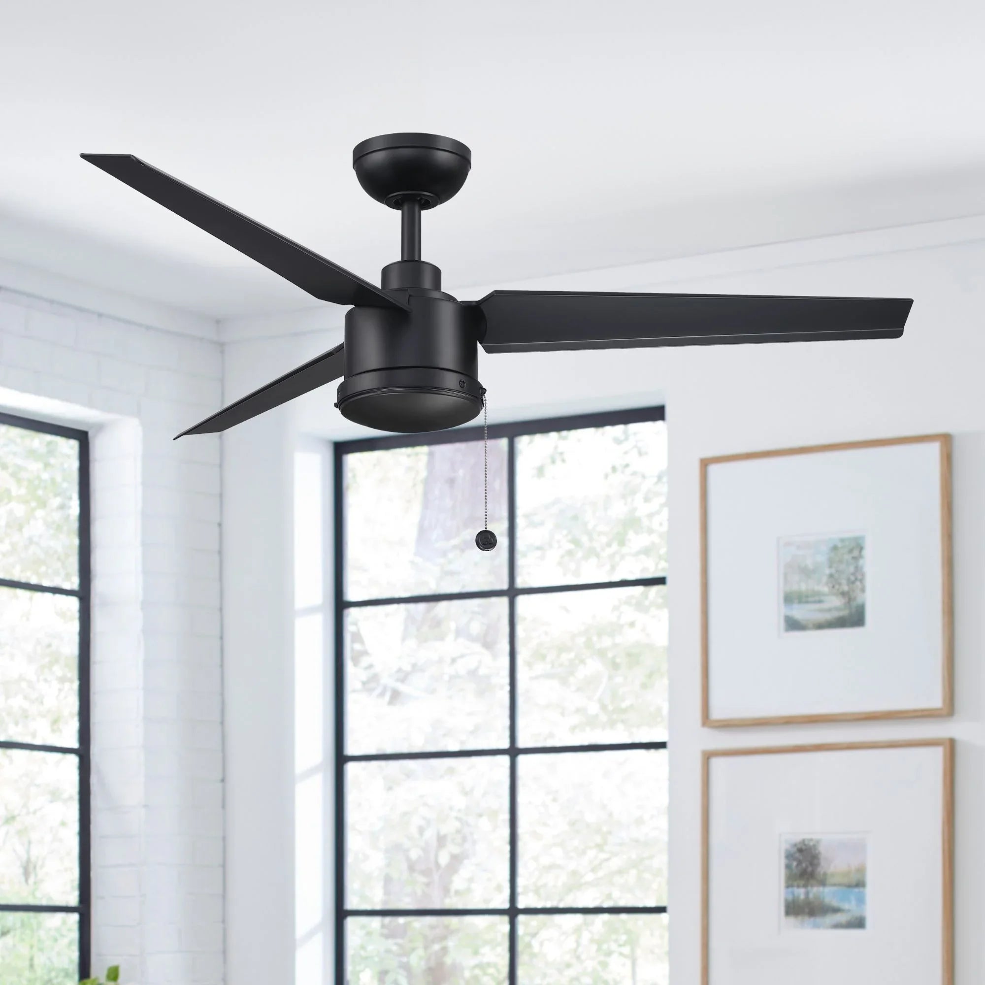 PC/DC NL 52" Outdoor Black Ceiling Fan with Pull Chain - Bees Lighting