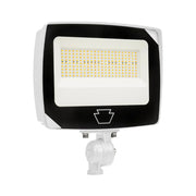 Keystone LED Rectangular Floodlight, Power Select, Color Select, Photocell, Two Mounting Options - Bees Lighting