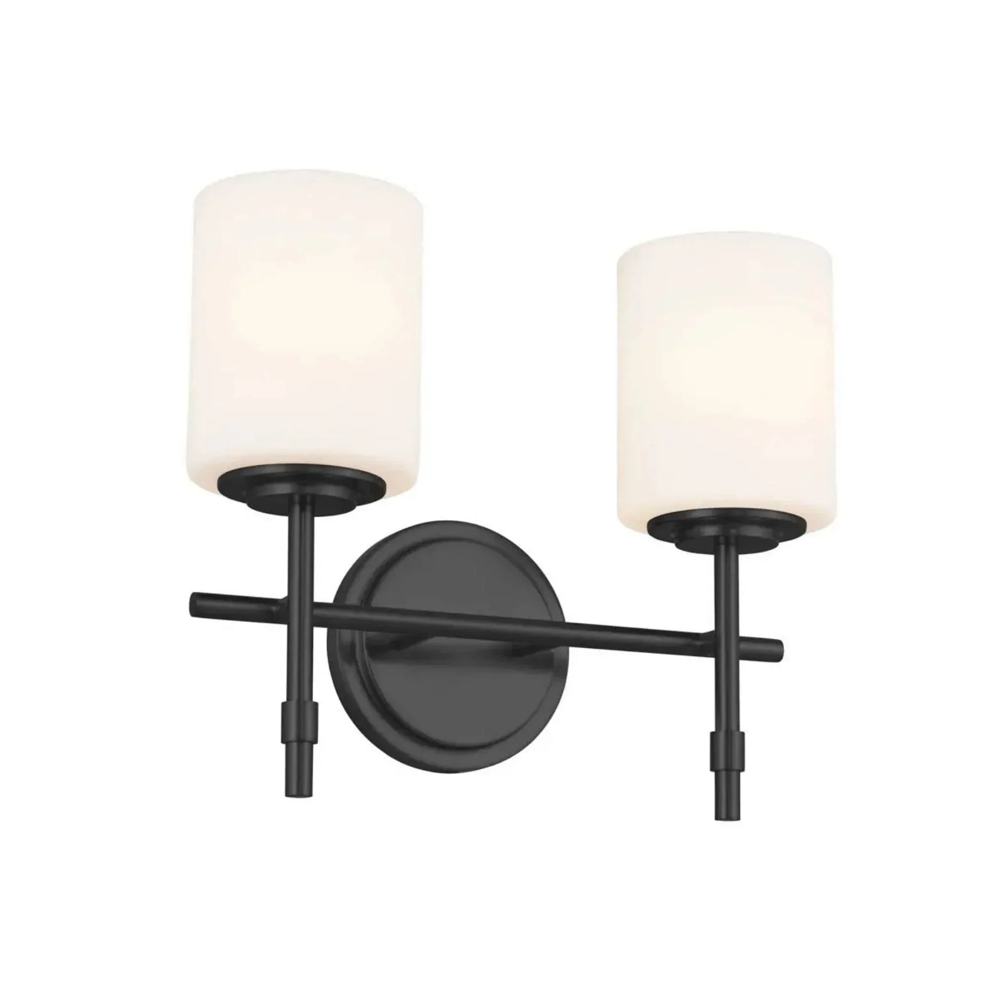 Ali 14" 2-Light Bath Vanity Light, Black Finish