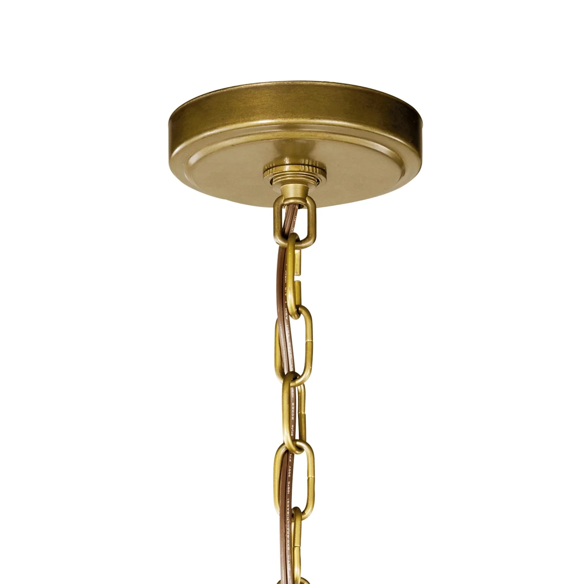 Voleta 22" 4-Light Foyer Pendant, Natural Brass Finish - Bees Lighting