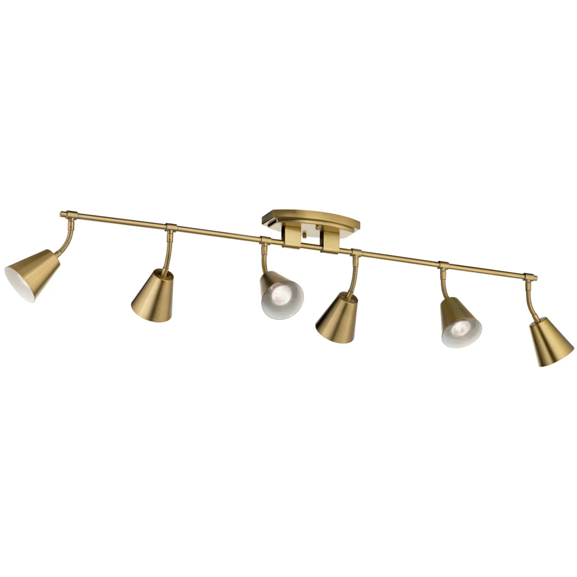 Sylvia 45" 6-Light Fixed Rail Light, Brushed Natural Brass Finish - Bees Lighting