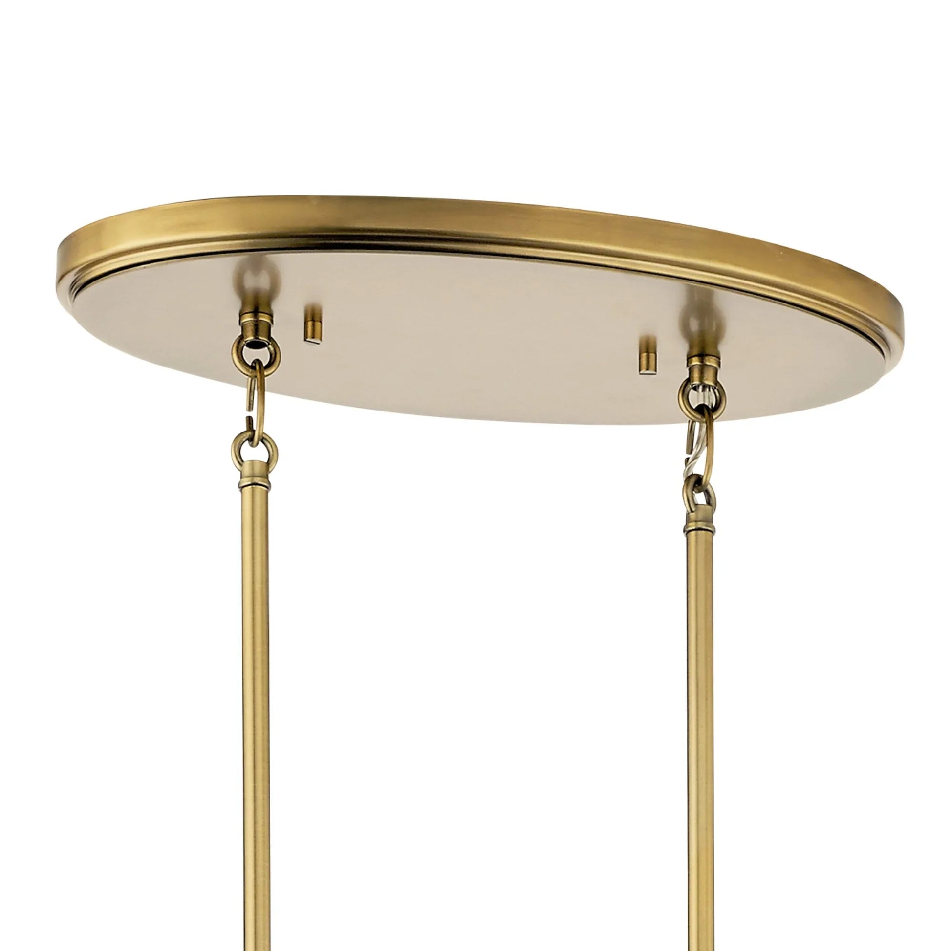 Nye 37" 8-Light Chandelier, Brushed Natural Brass Finish - Bees Lighting