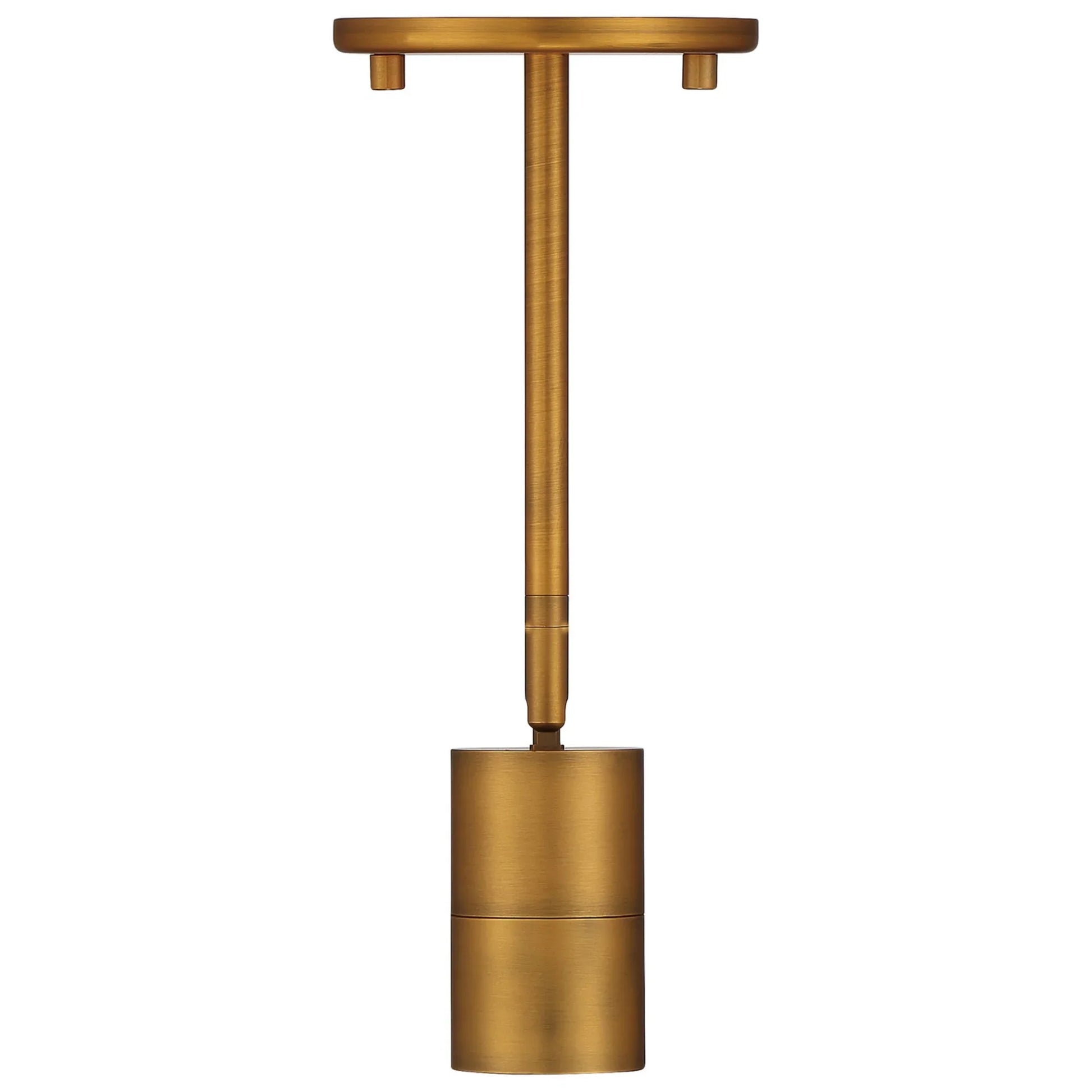 Cafe Dual Mount 4" LED Wall/Ceiling Spotlight, Antique Brushed Brass Finish - Bees Lighting