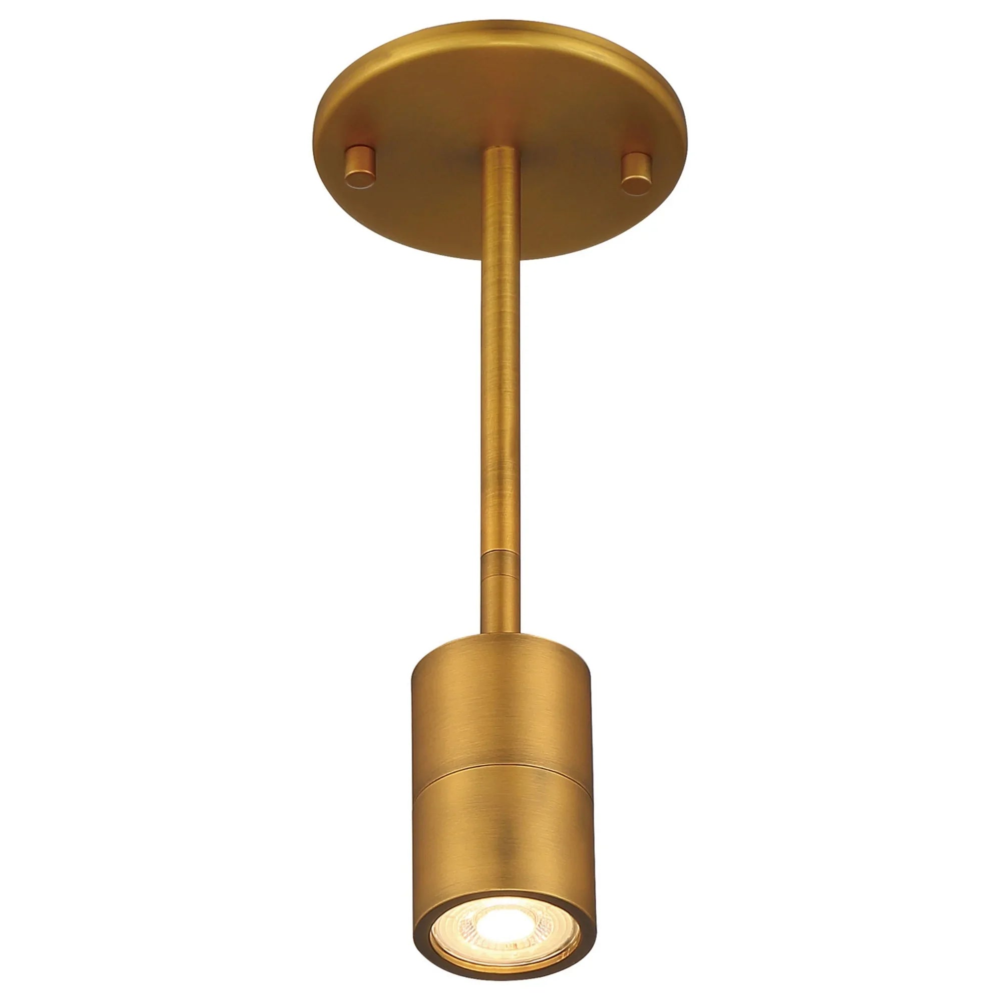 Cafe Dual Mount 4" LED Wall/Ceiling Spotlight, Antique Brushed Brass Finish - Bees Lighting