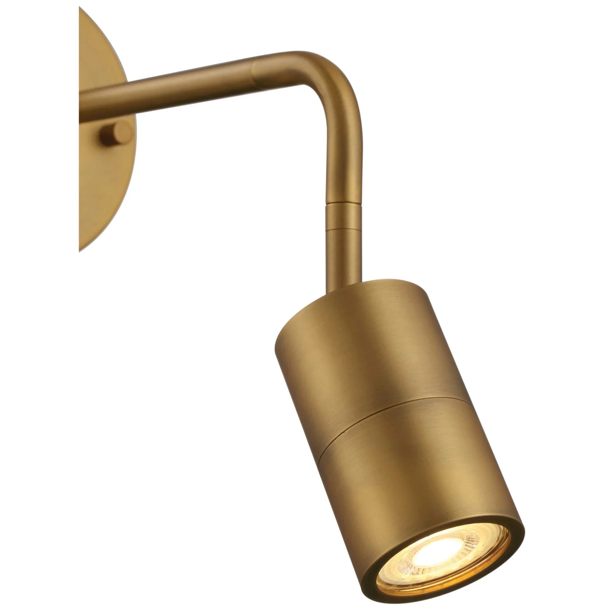 Cafe Dual Mount 4" LED Wall/Ceiling Spotlight, Antique Brushed Brass Finish - Bees Lighting