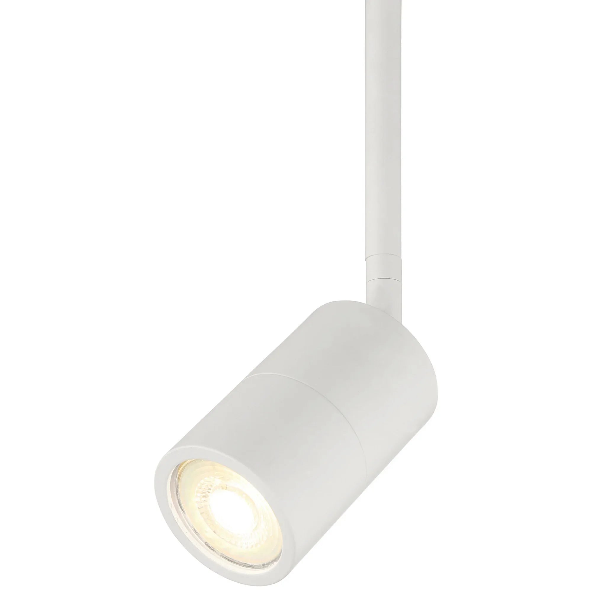 Cafe Dual Mount 4" LED Wall/Ceiling Spotlight, Matte White Finish - Bees Lighting