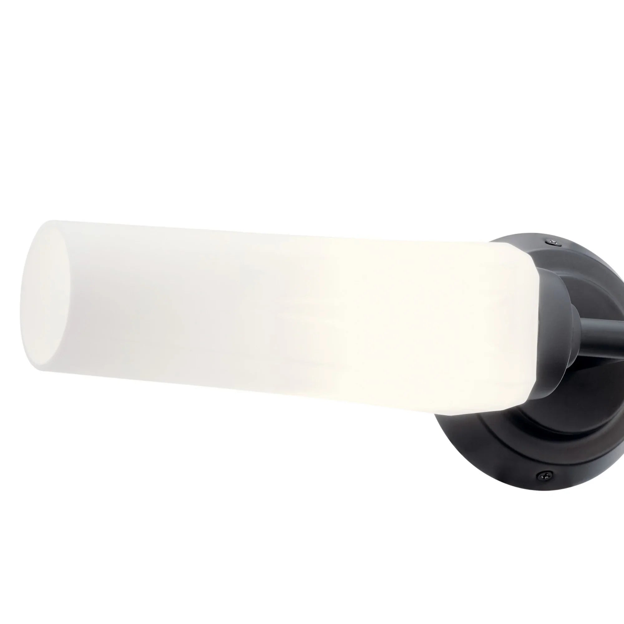 Truby 21" 2-Light Wall Sconce, Black Finish - Bees Lighting