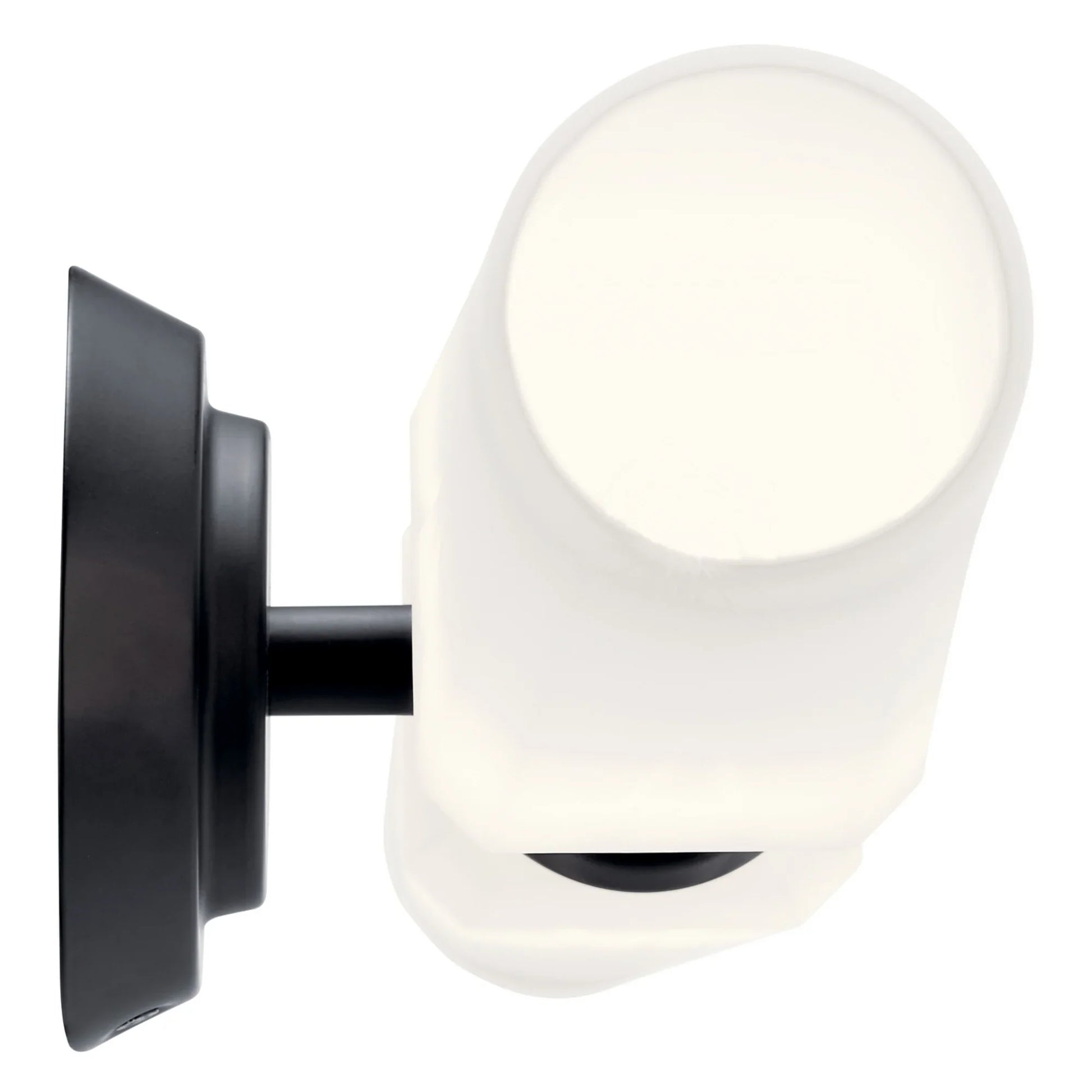Truby 26" 2-Light Bath Vanity Light, Black Finish - Bees Lighting