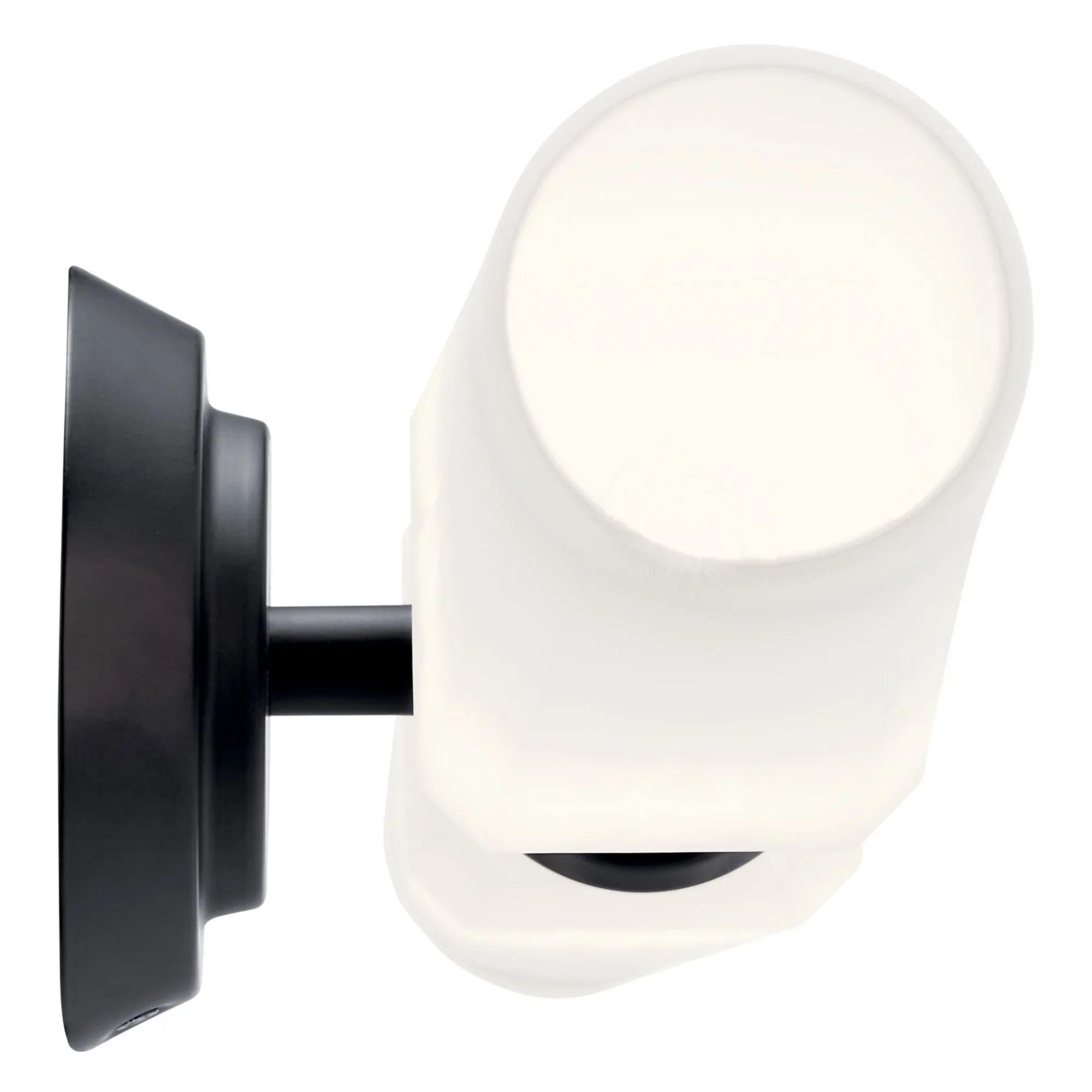 Truby 26" 2-Light Bath Vanity Light, Black Finish - Bees Lighting