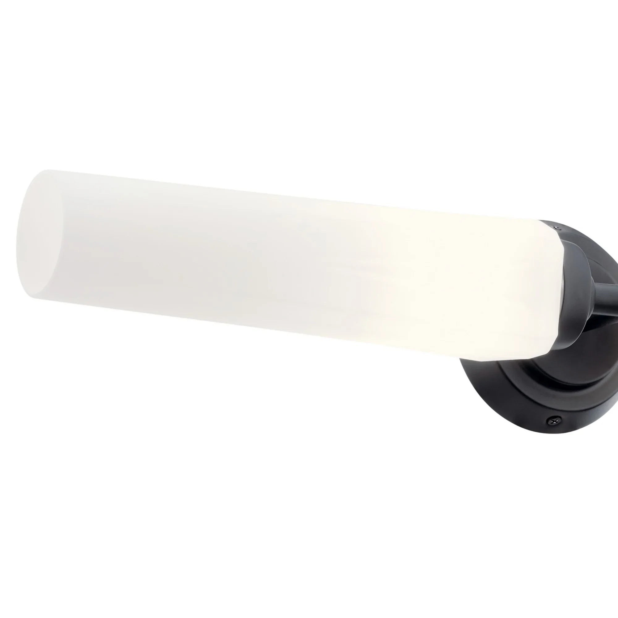 Truby 26" 2-Light Bath Vanity Light, Black Finish - Bees Lighting