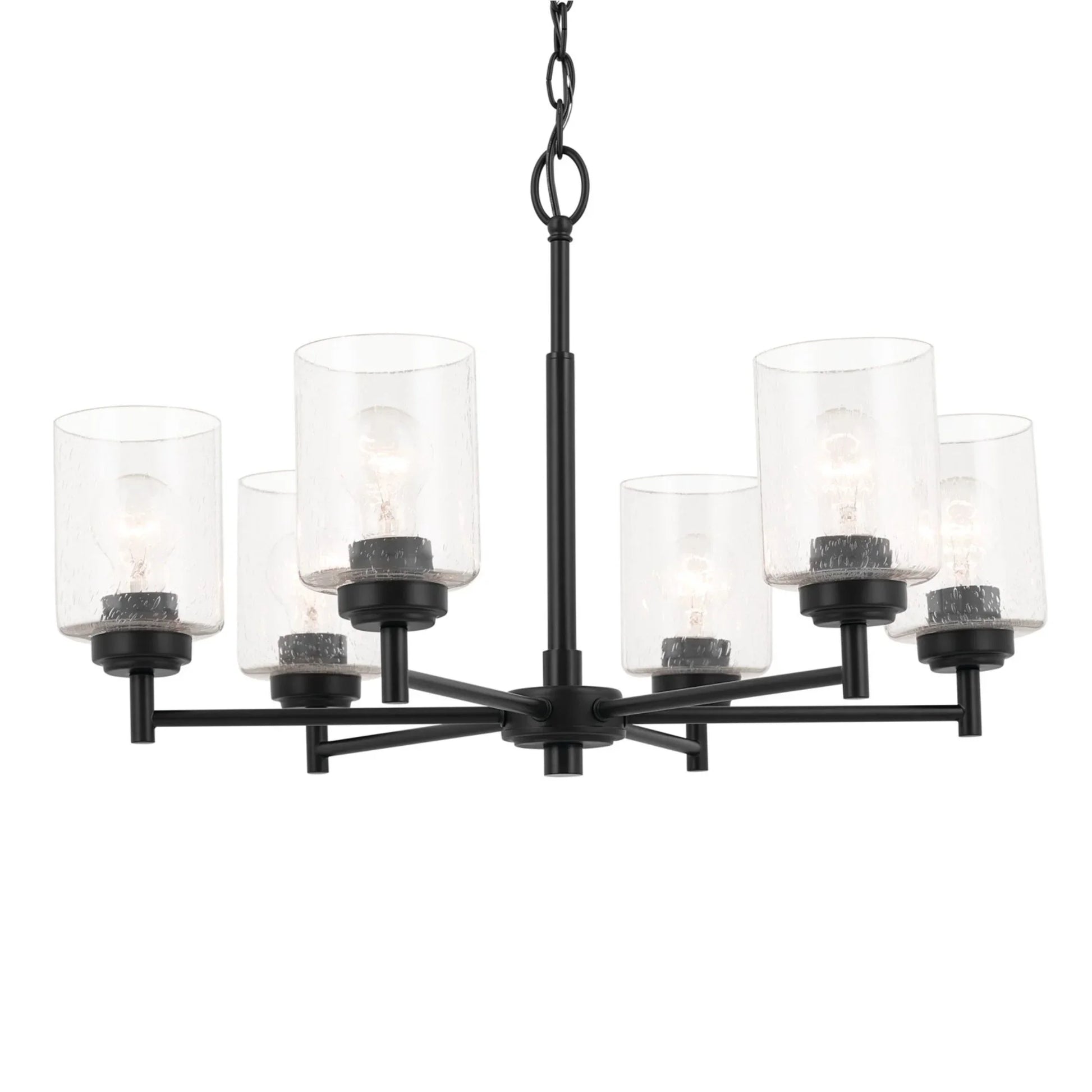 Winslow 26" 6-Light Chandelier, Black Finish - Bees Lighting
