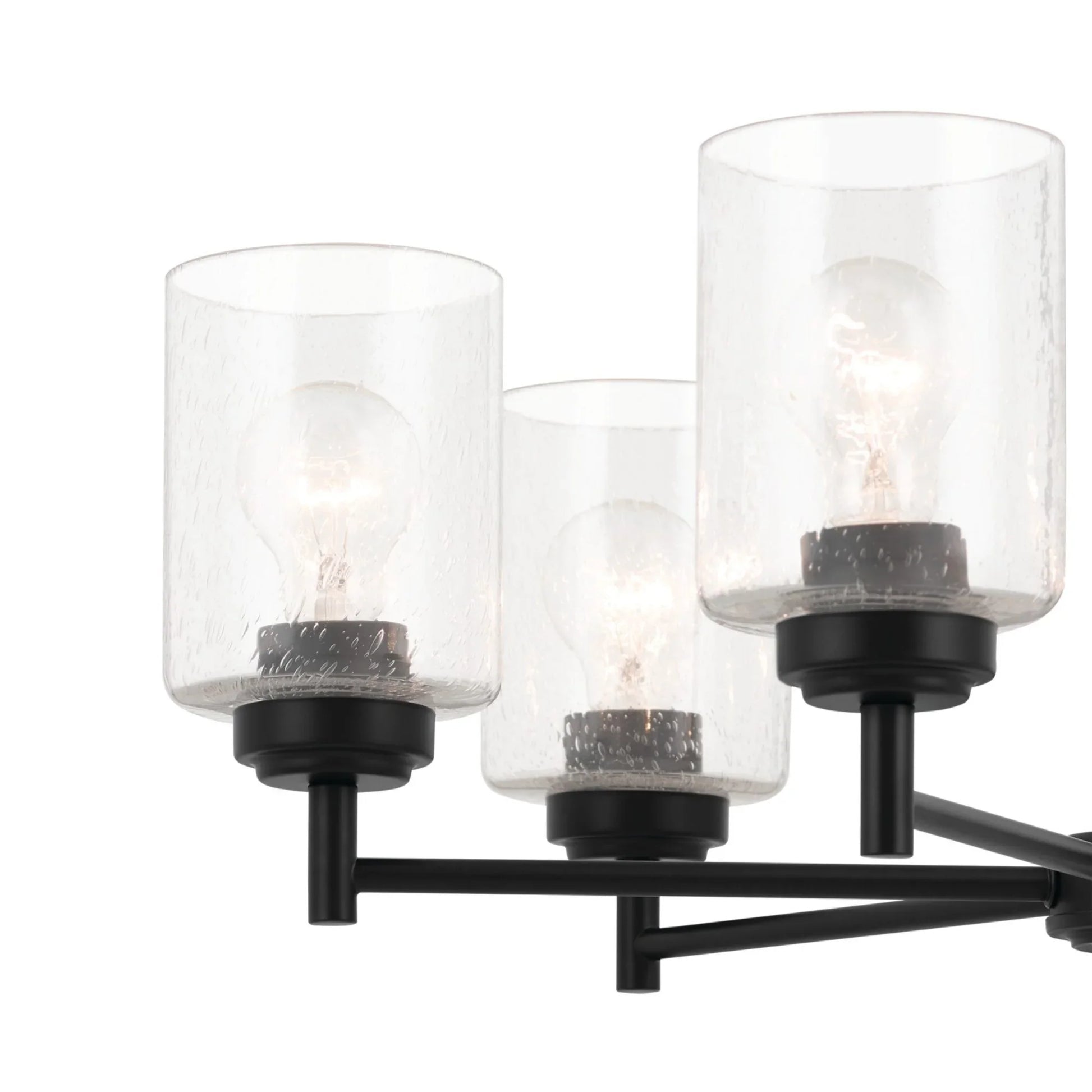 Winslow 26" 6-Light Chandelier, Black Finish - Bees Lighting