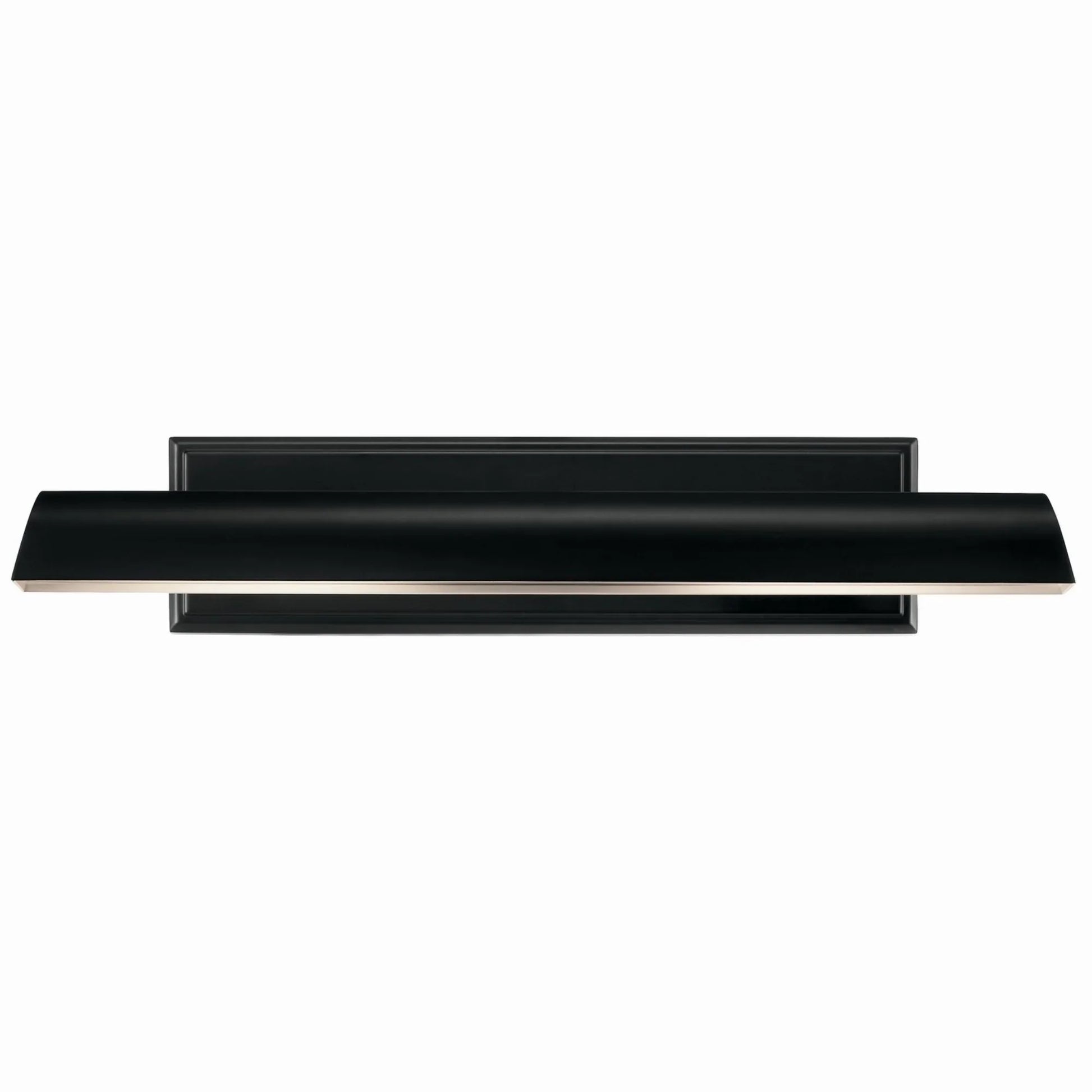 Carston 24" 2-Lights Picture Light, Black Finish - Bees Lighting